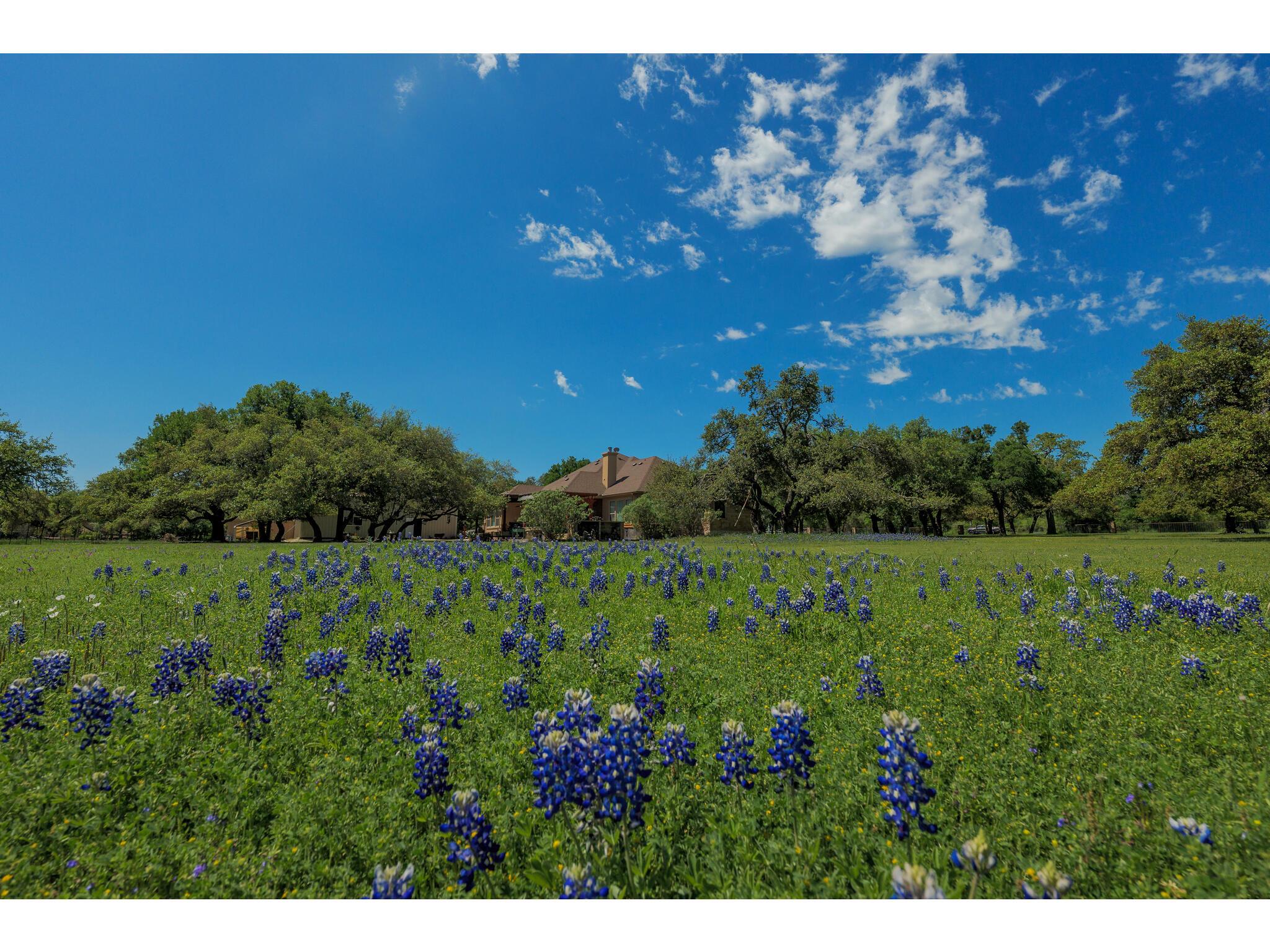 30201 Live Oak Trl, Georgetown, TX 78633