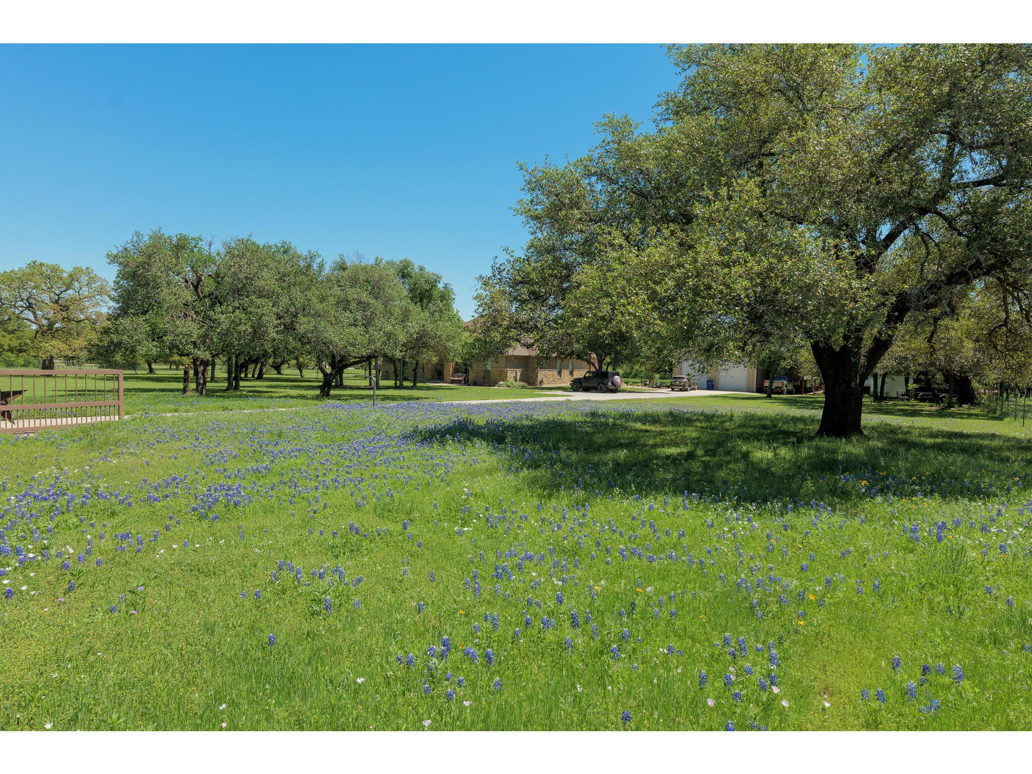 30201 Live Oak Trl, Georgetown, TX 78633