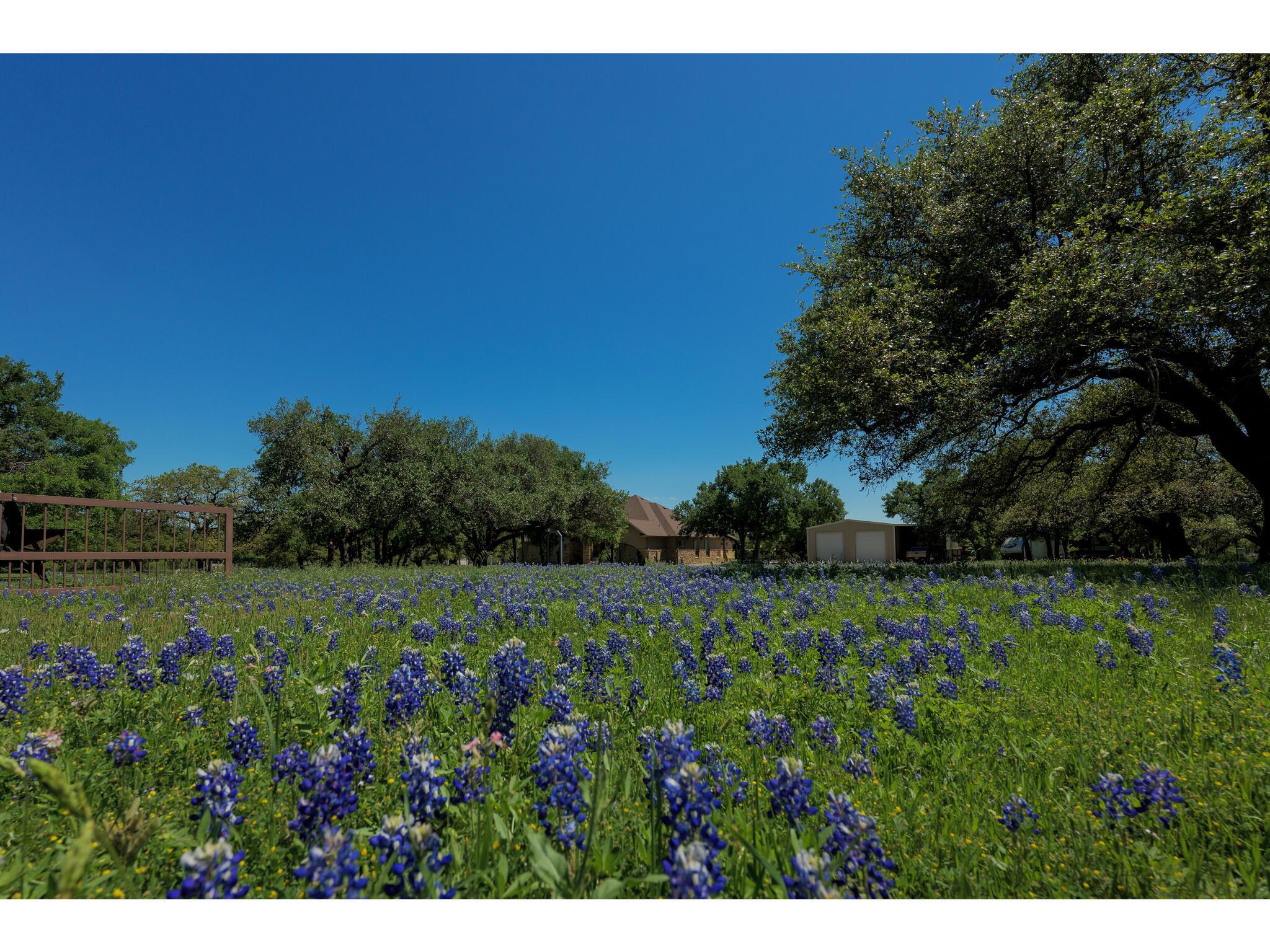 30201 Live Oak Trl, Georgetown, TX 78633