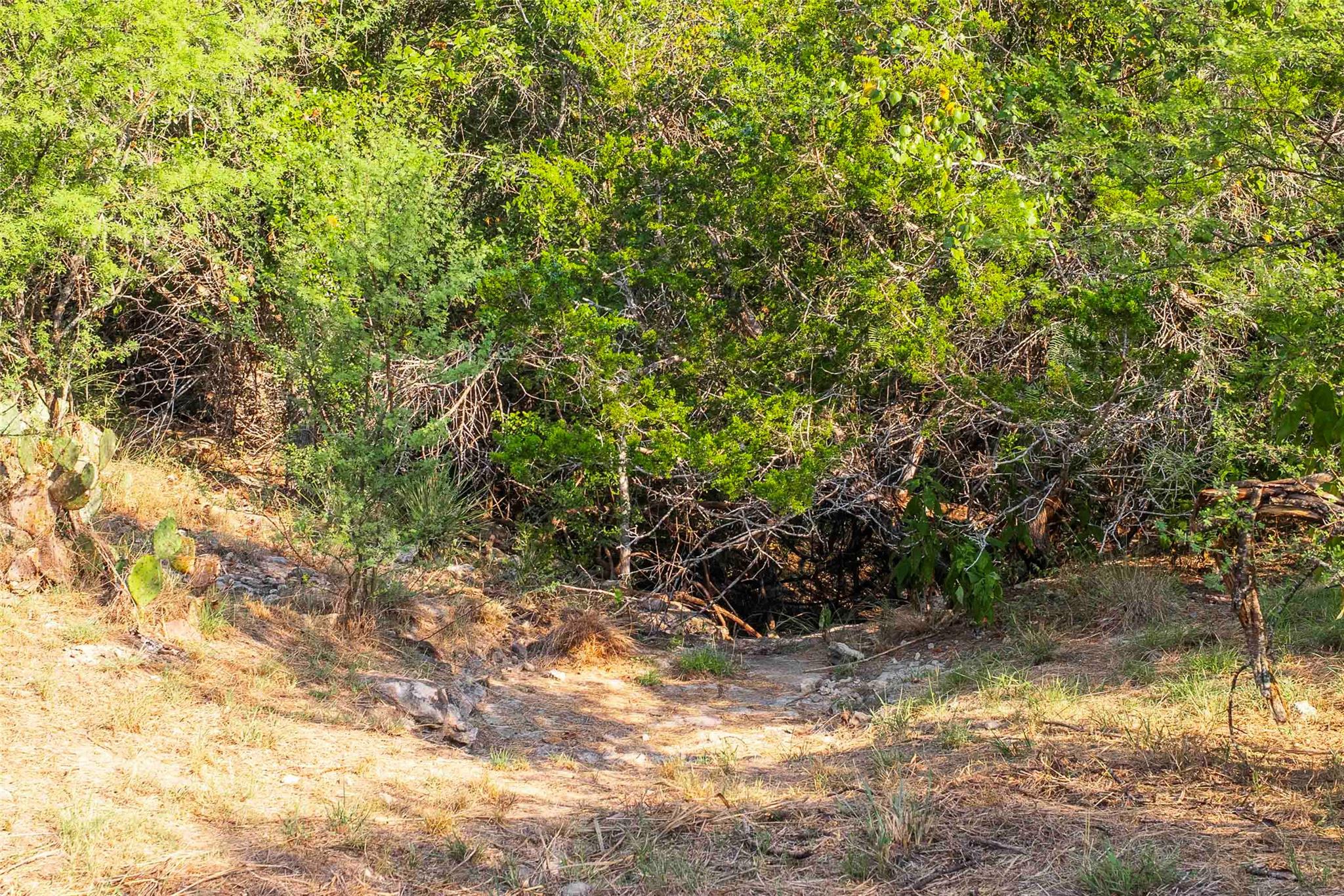 Lot 64 Wesley Ridge Dr, Spicewood, TX 78669