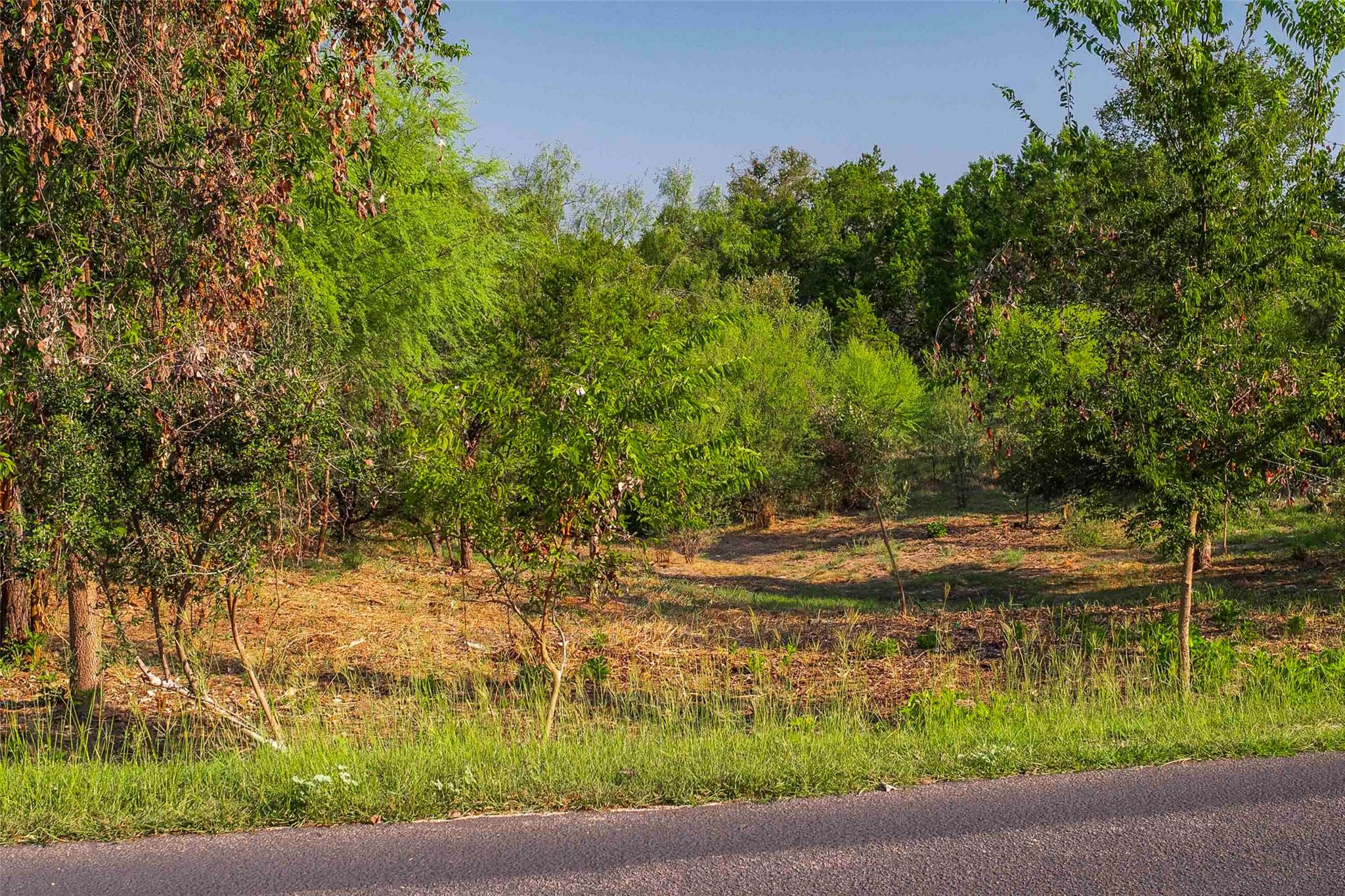 Lot 64 Wesley Ridge Dr, Spicewood, TX 78669