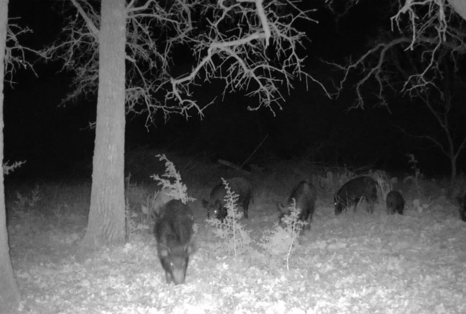 730 E US HWY 84, Goldthwaite, TX 76844