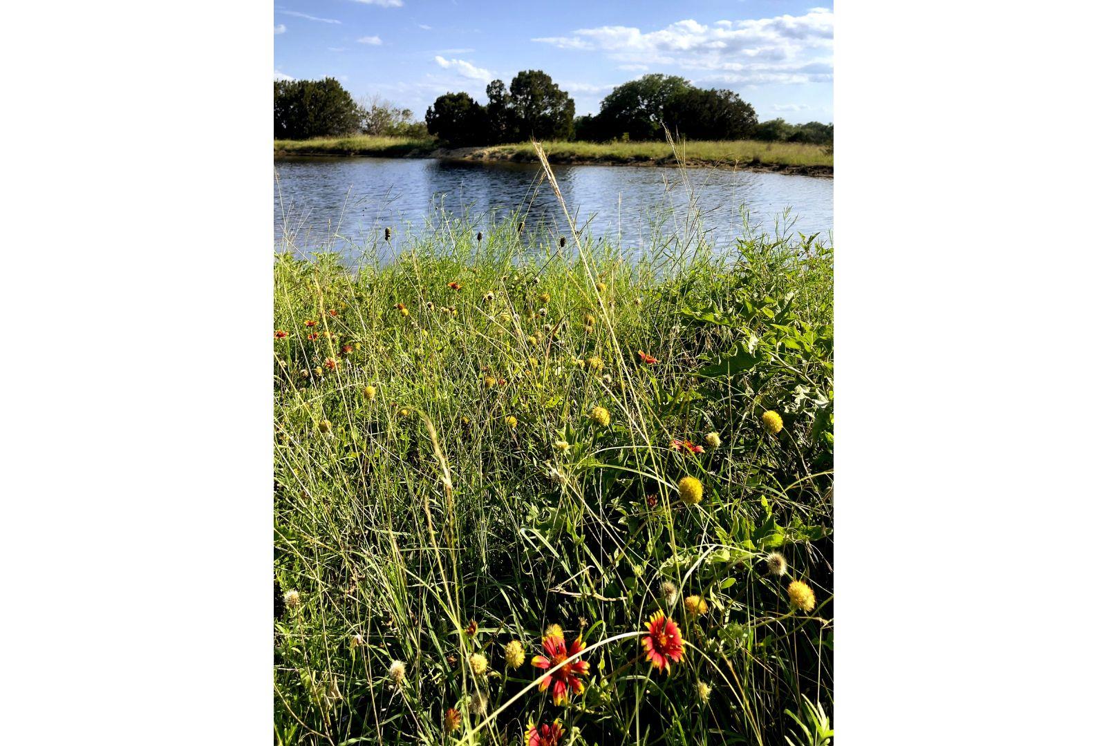 730 E HWY 84, Goldthwaite, TX 76844