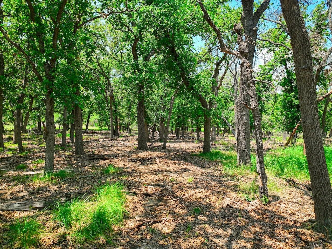 730 E HWY 84, Goldthwaite, TX 76844