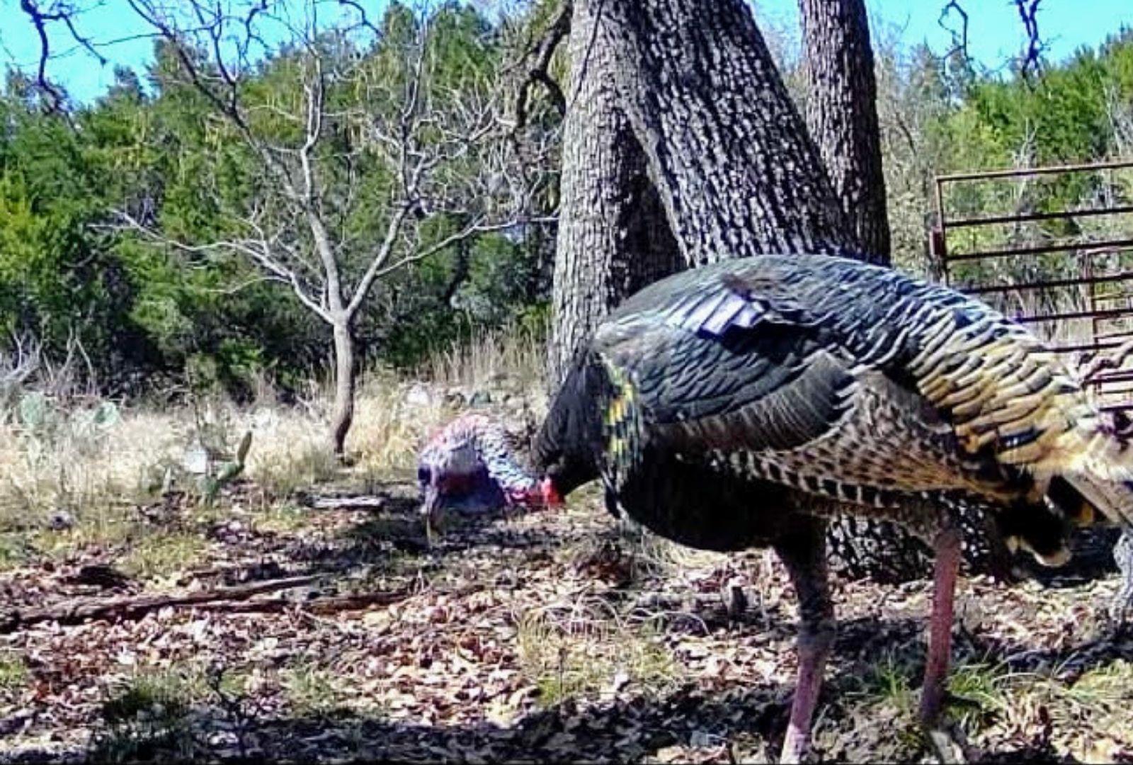 730 E US HWY 84, Goldthwaite, TX 76844