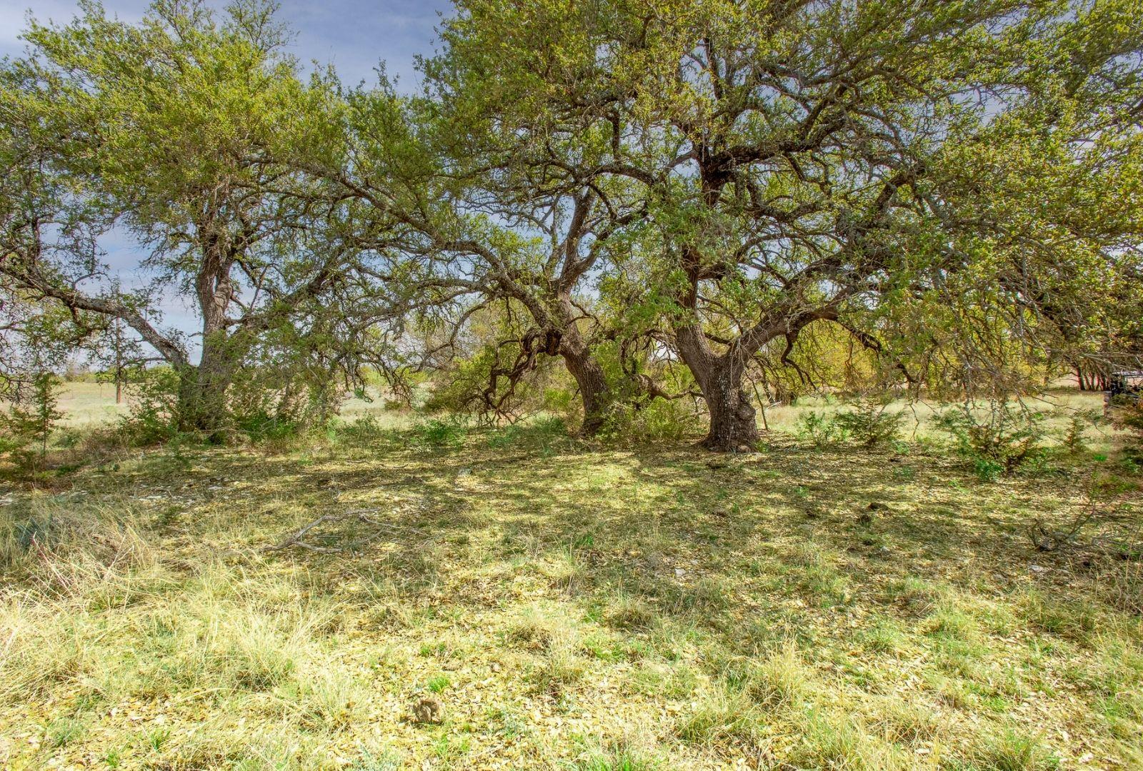 730 E US HWY 84, Goldthwaite, TX 76844