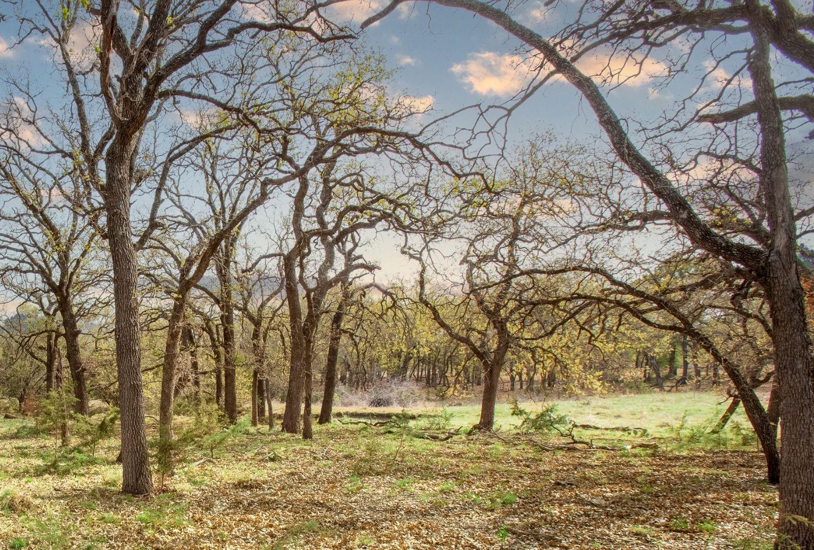 730 E US HWY 84, Goldthwaite, TX 76844