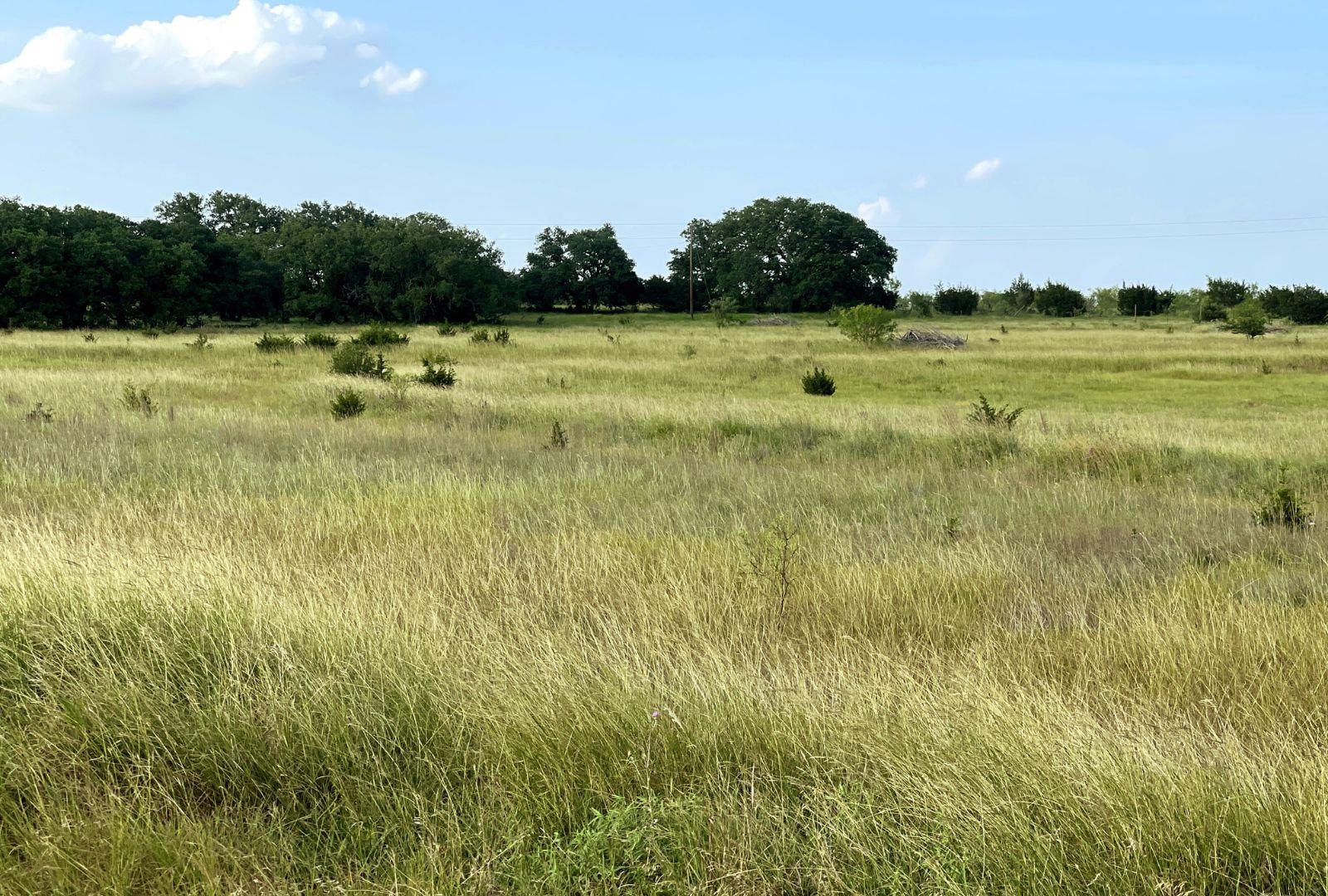 730 E HWY 84, Goldthwaite, TX 76844