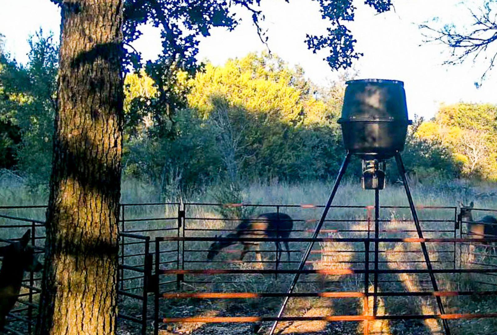 730 E HWY 84, Goldthwaite, TX 76844