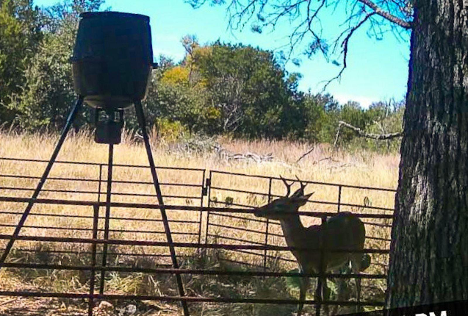 730 E HWY 84, Goldthwaite, TX 76844