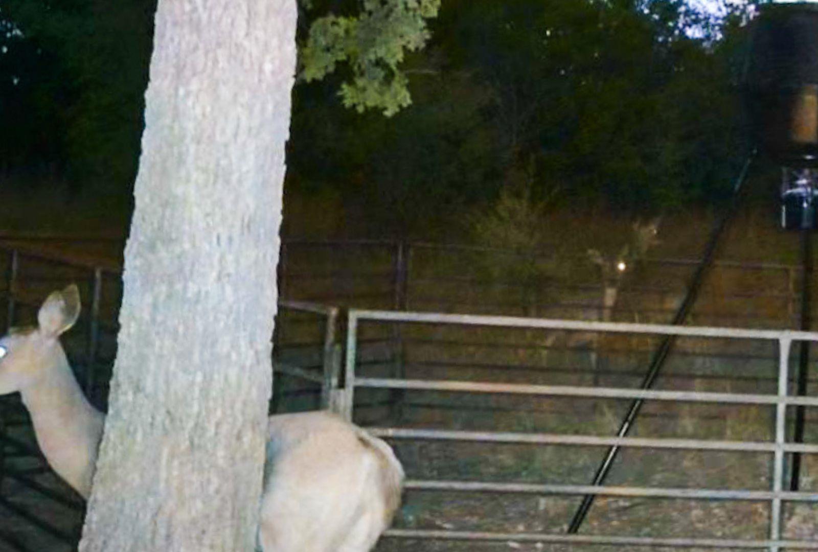 730 E HWY 84, Goldthwaite, TX 76844