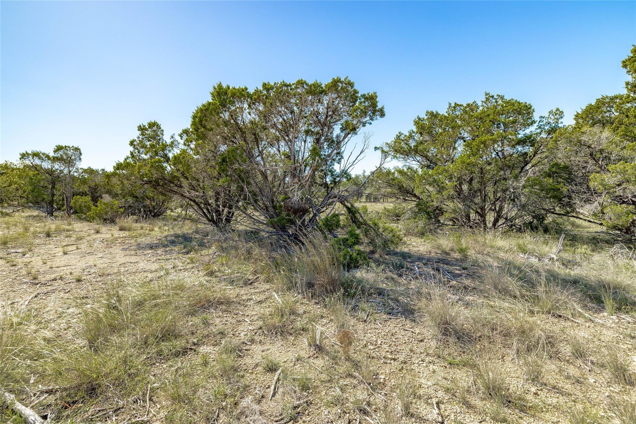 TBD County Road 281 Lot 1, Leander, TX 78641