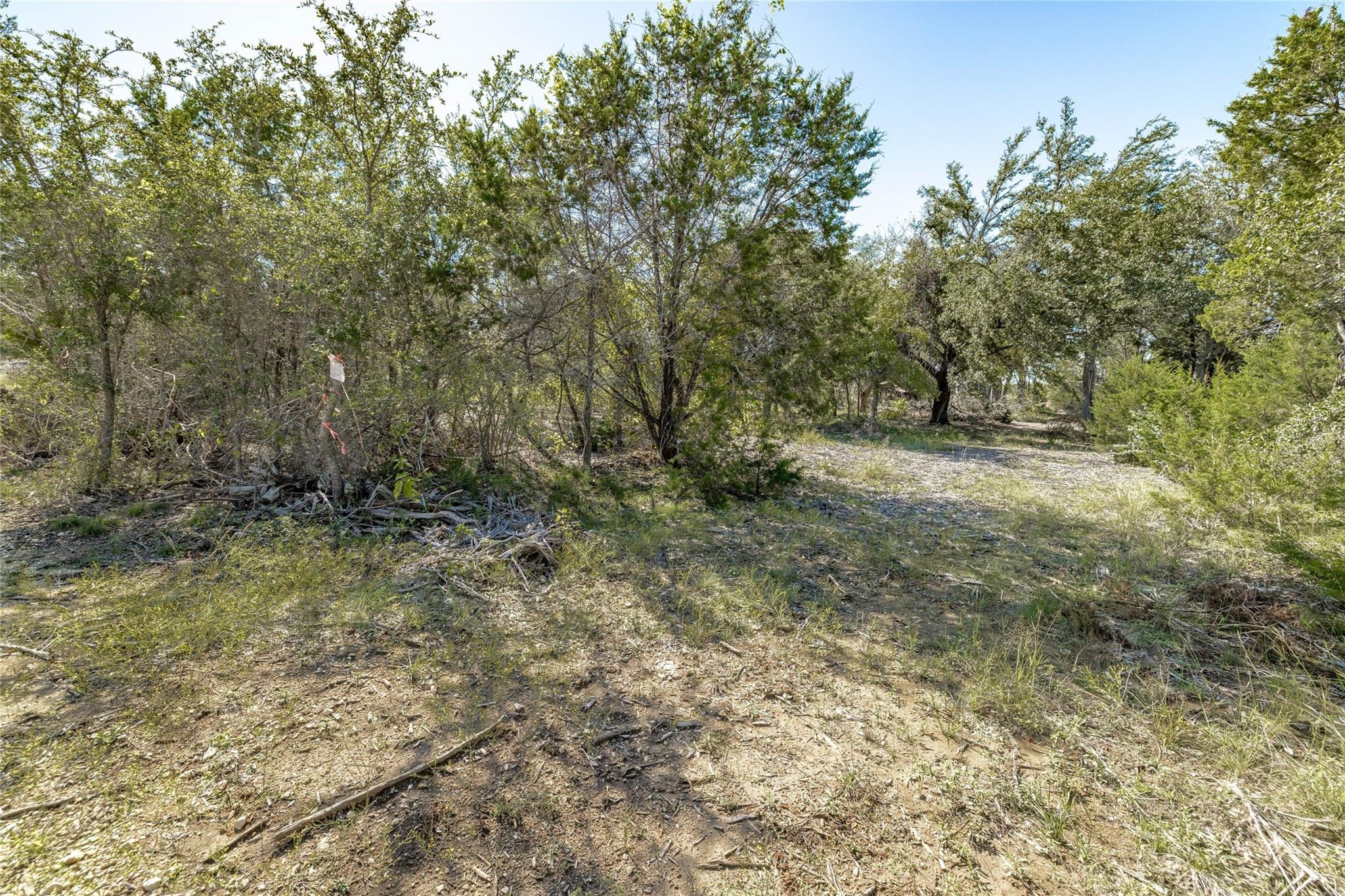 TBD County Road 281 Lot 2, Leander, TX 78641