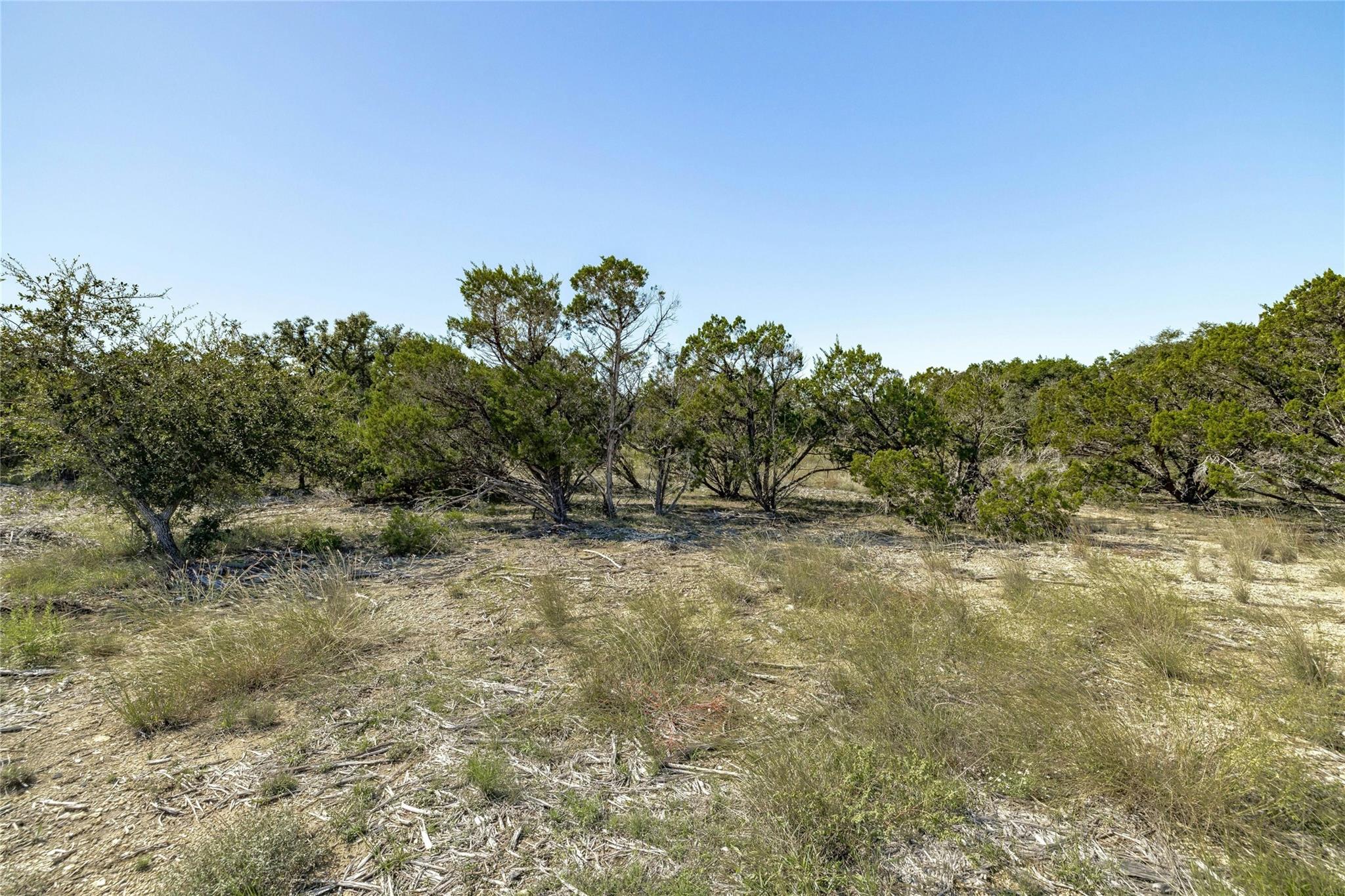 TBD County Road 281 Lot 3, Leander, TX 78641