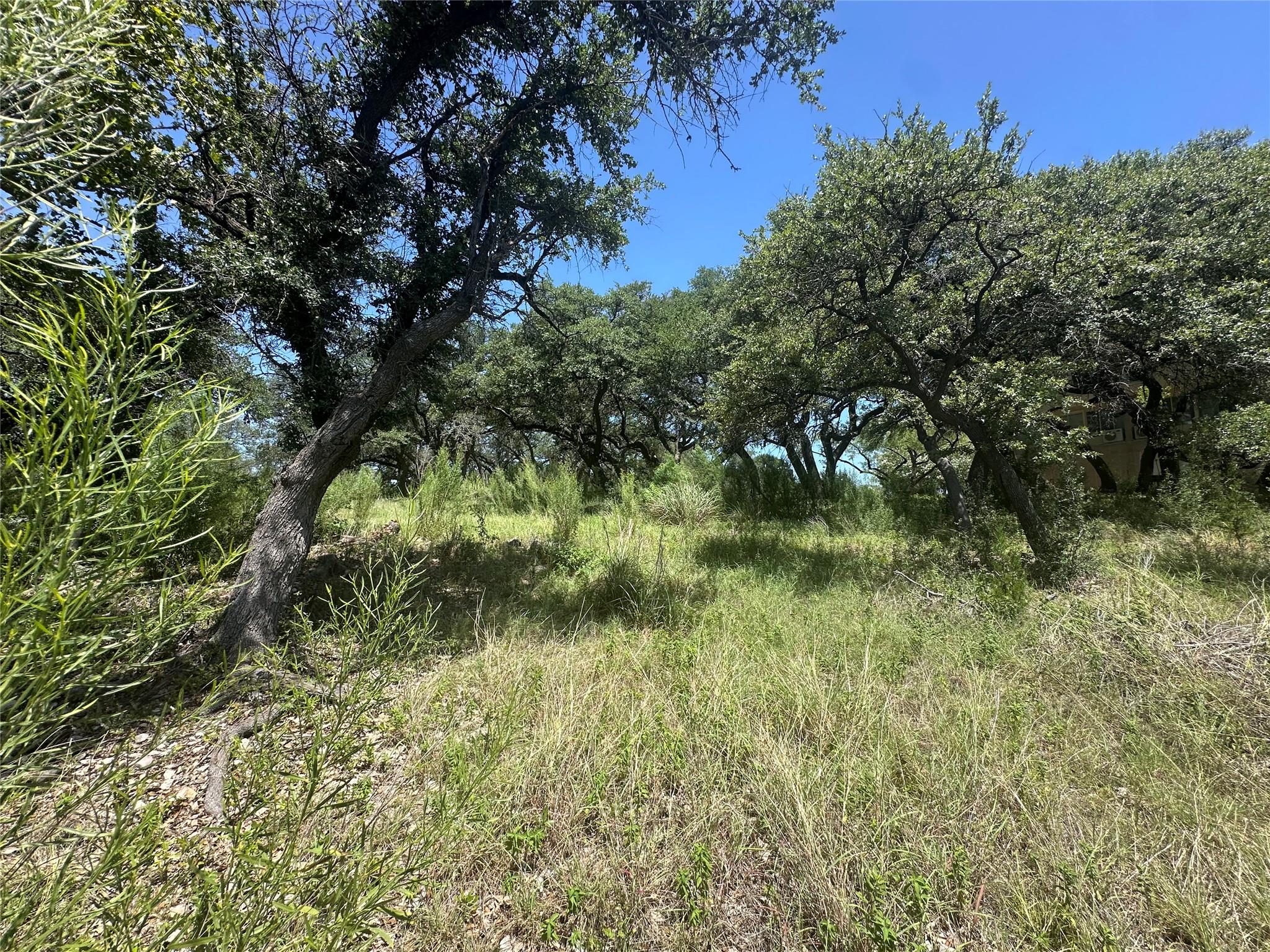 2700 Cornell Cv, Lago Vista, TX 78645