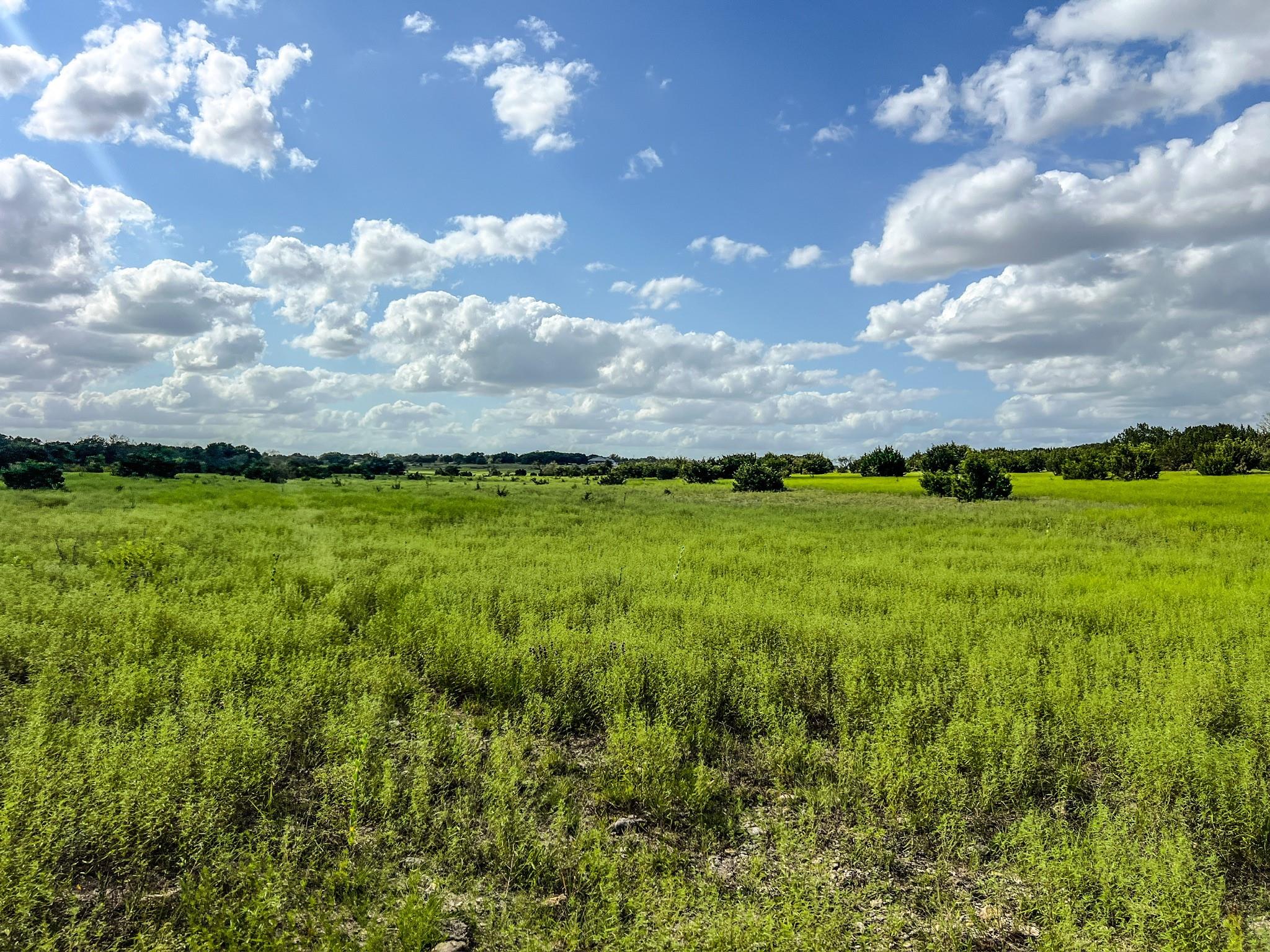 1220 County Road 225, Briggs, TX 78608