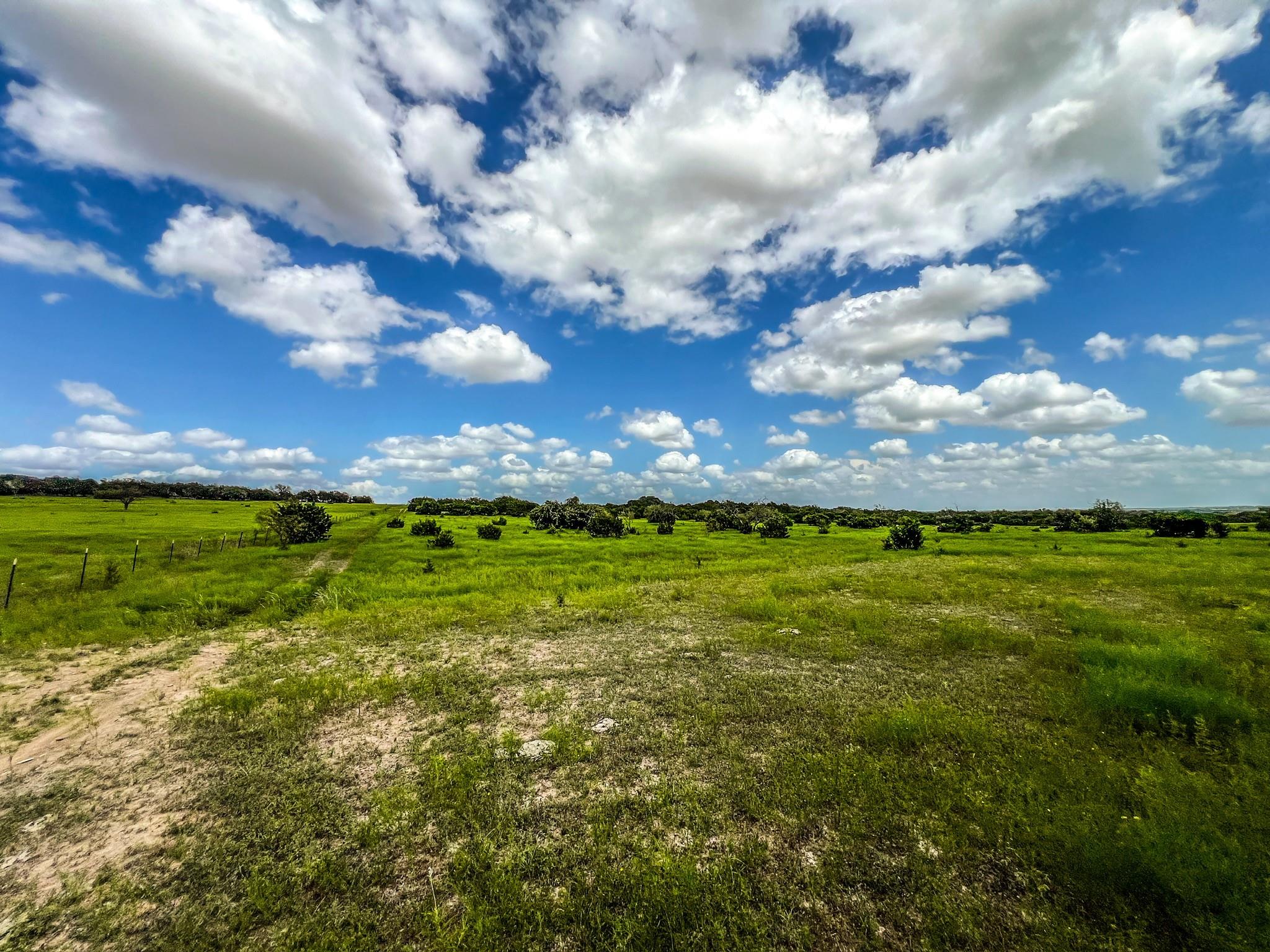 1220 County Road 225, Briggs, TX 78608