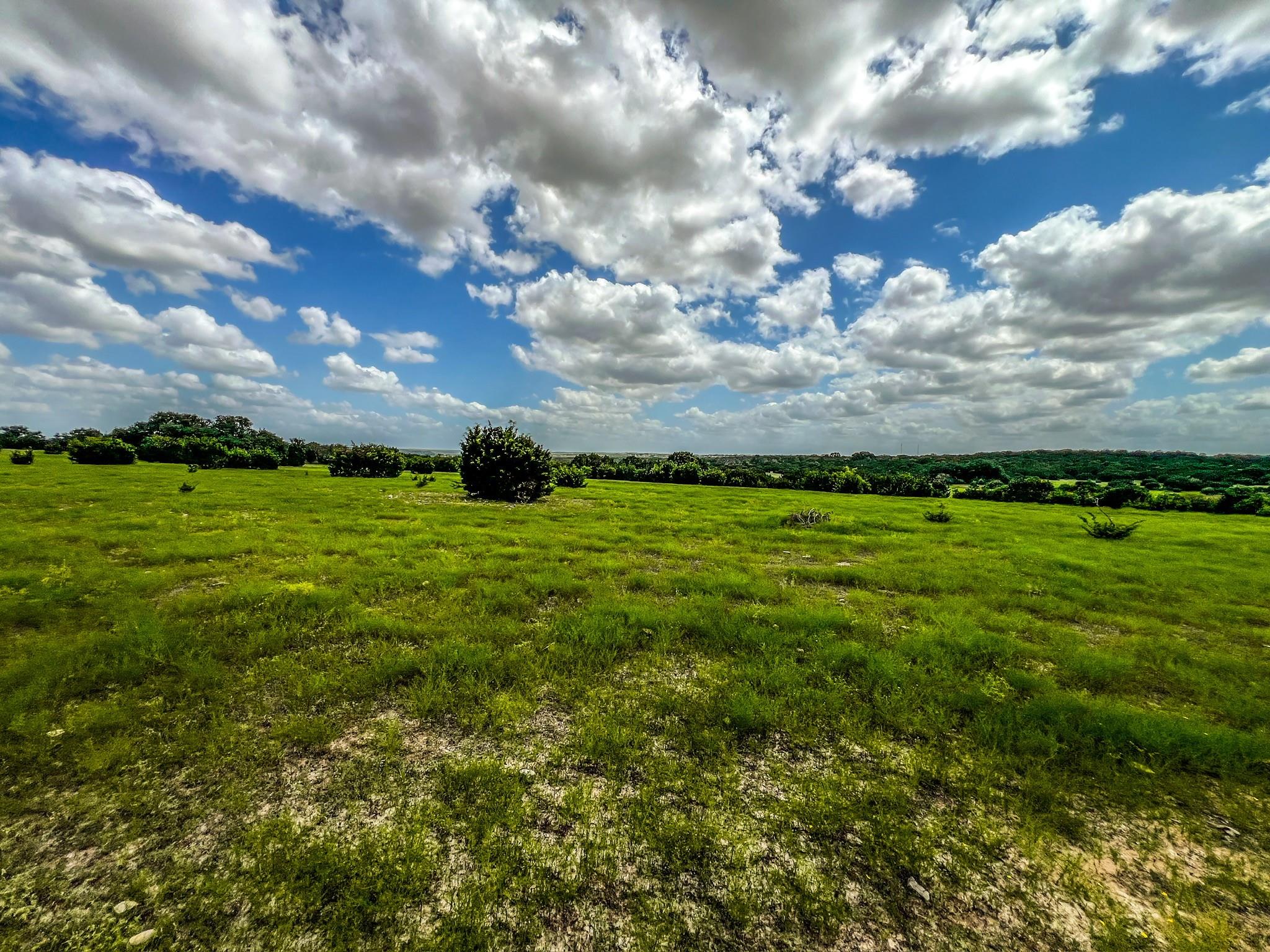 1220 County Road 225, Briggs, TX 78608
