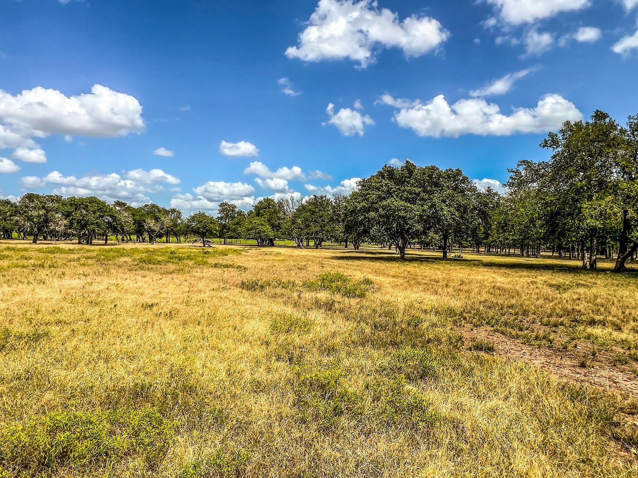 1220 County Road 225, Briggs, TX 78608