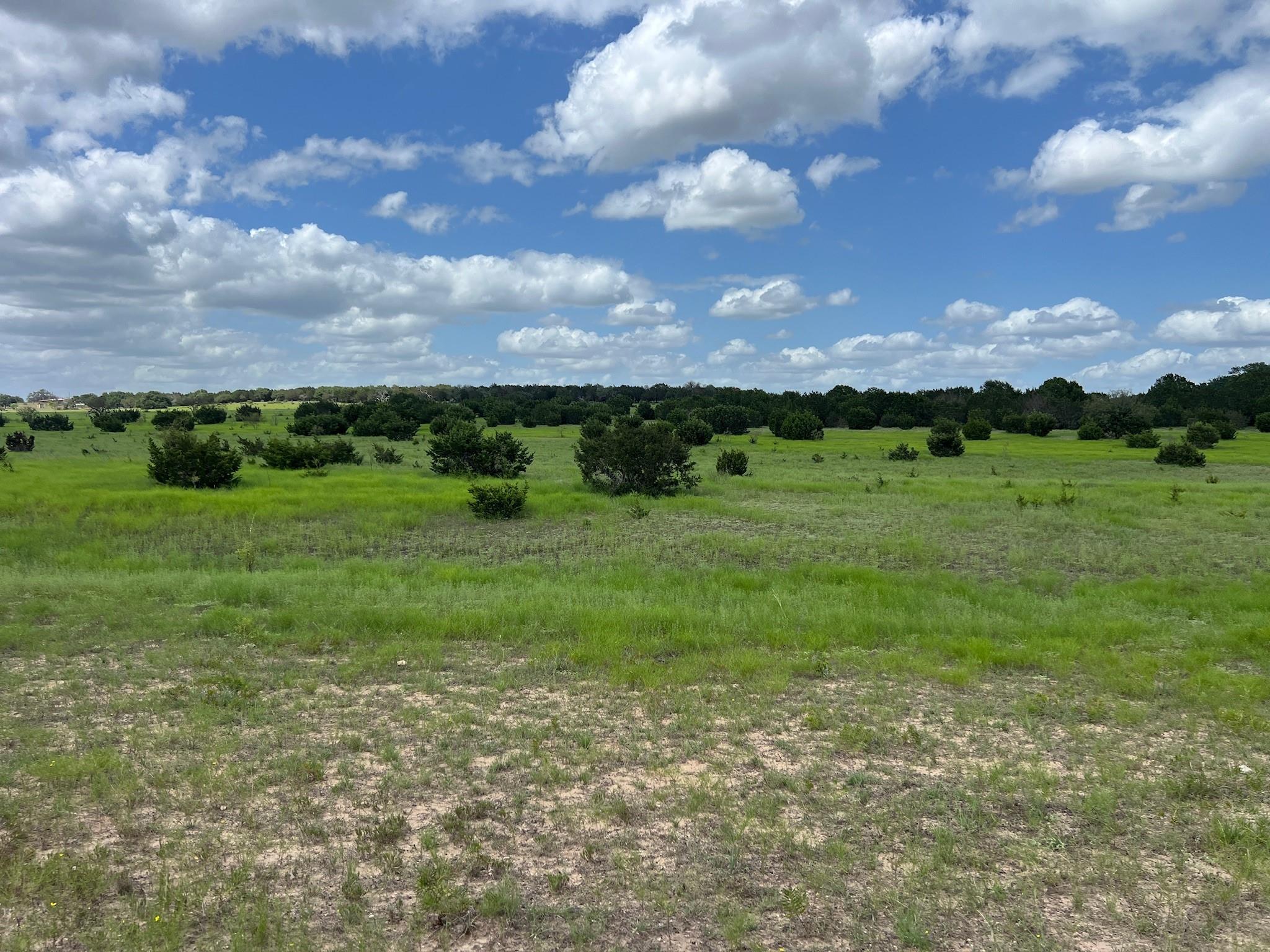 1220 County Road 225, Briggs, TX 78608