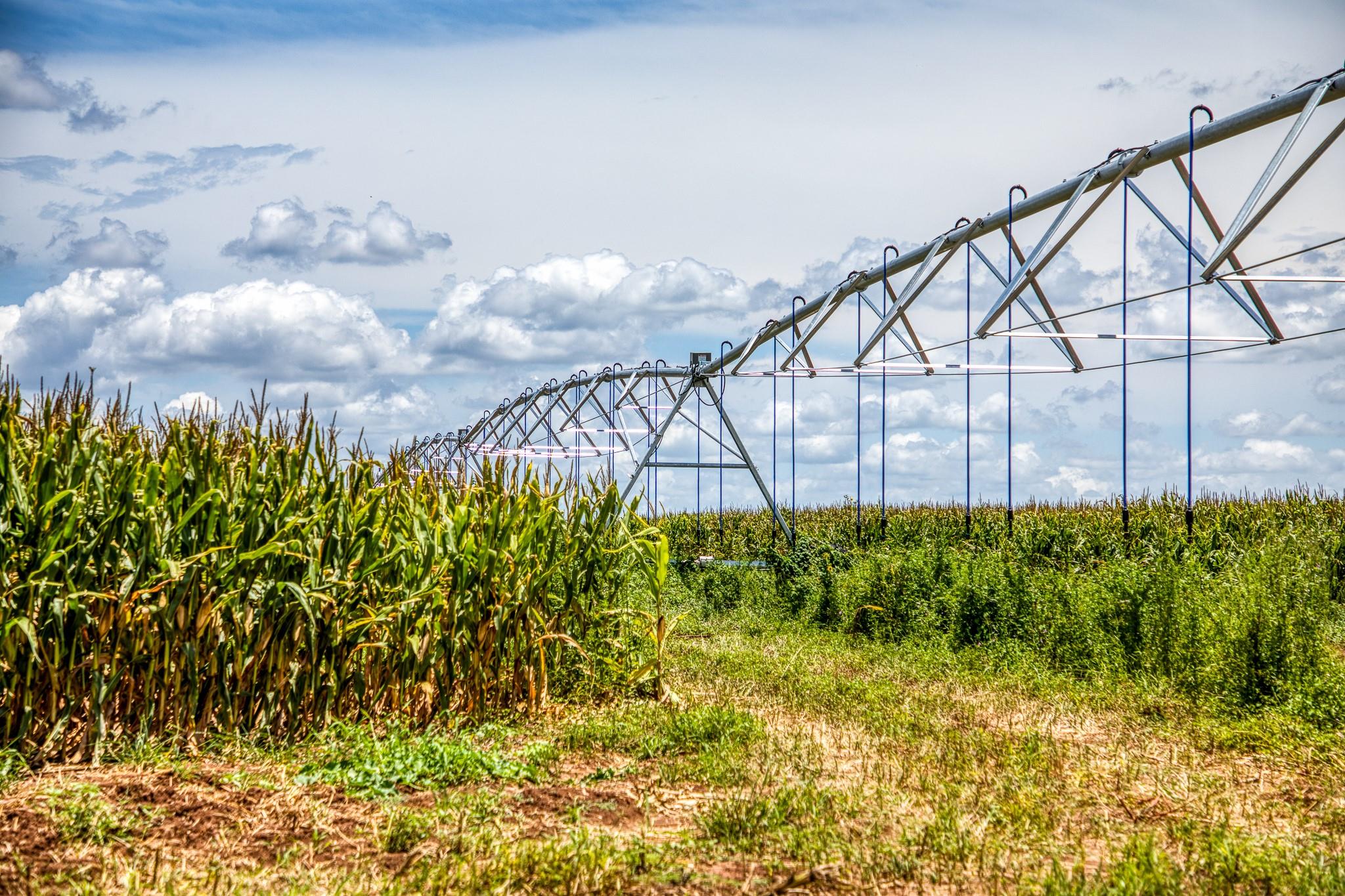 TBD County Road 277, Snook, TX 77878