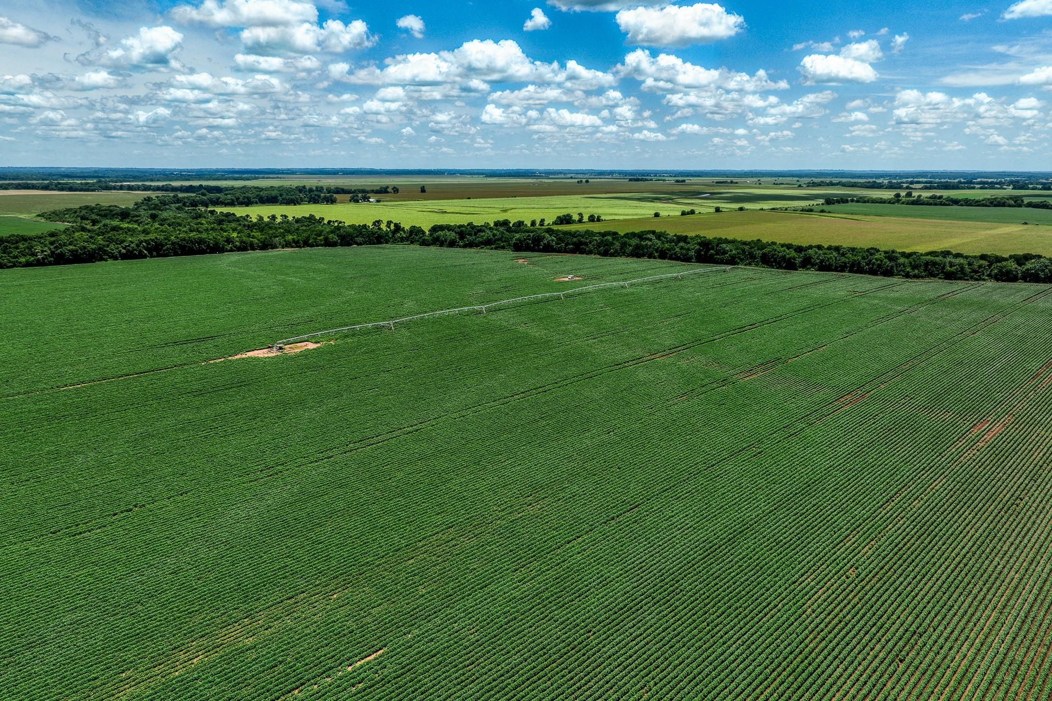 TBD County Road 277, Snook, TX 77878
