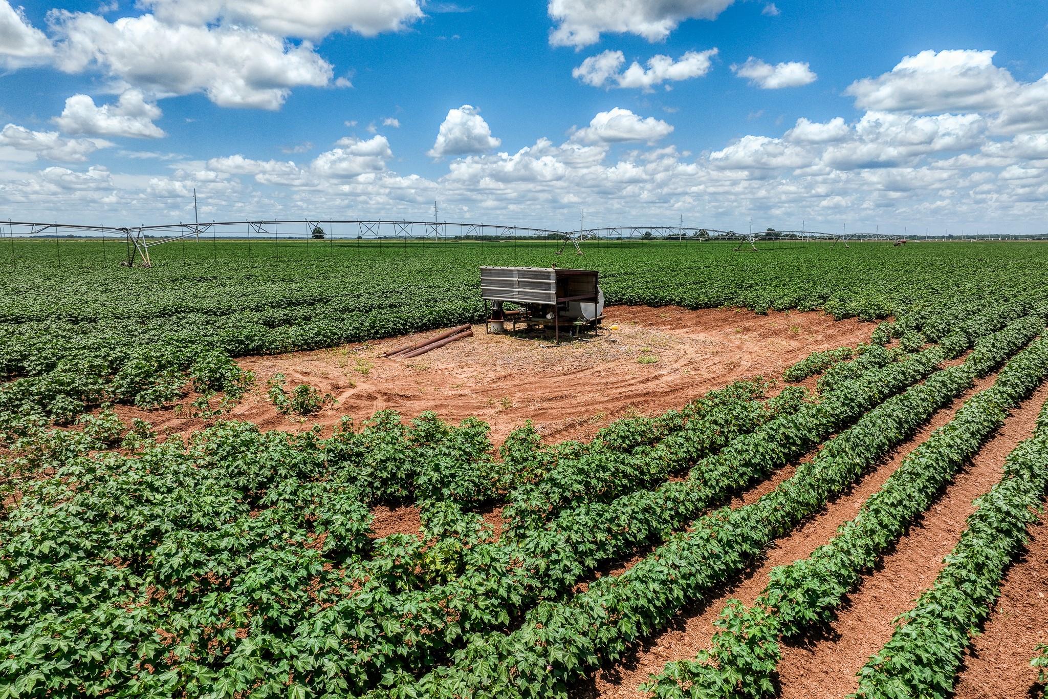 TBD County Road 277, Snook, TX 77878