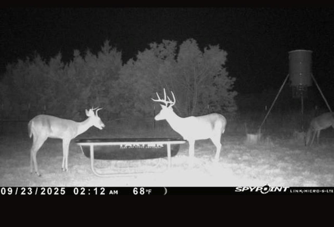 542 Co Rd 2275 Rd, Lampasas, TX 76550