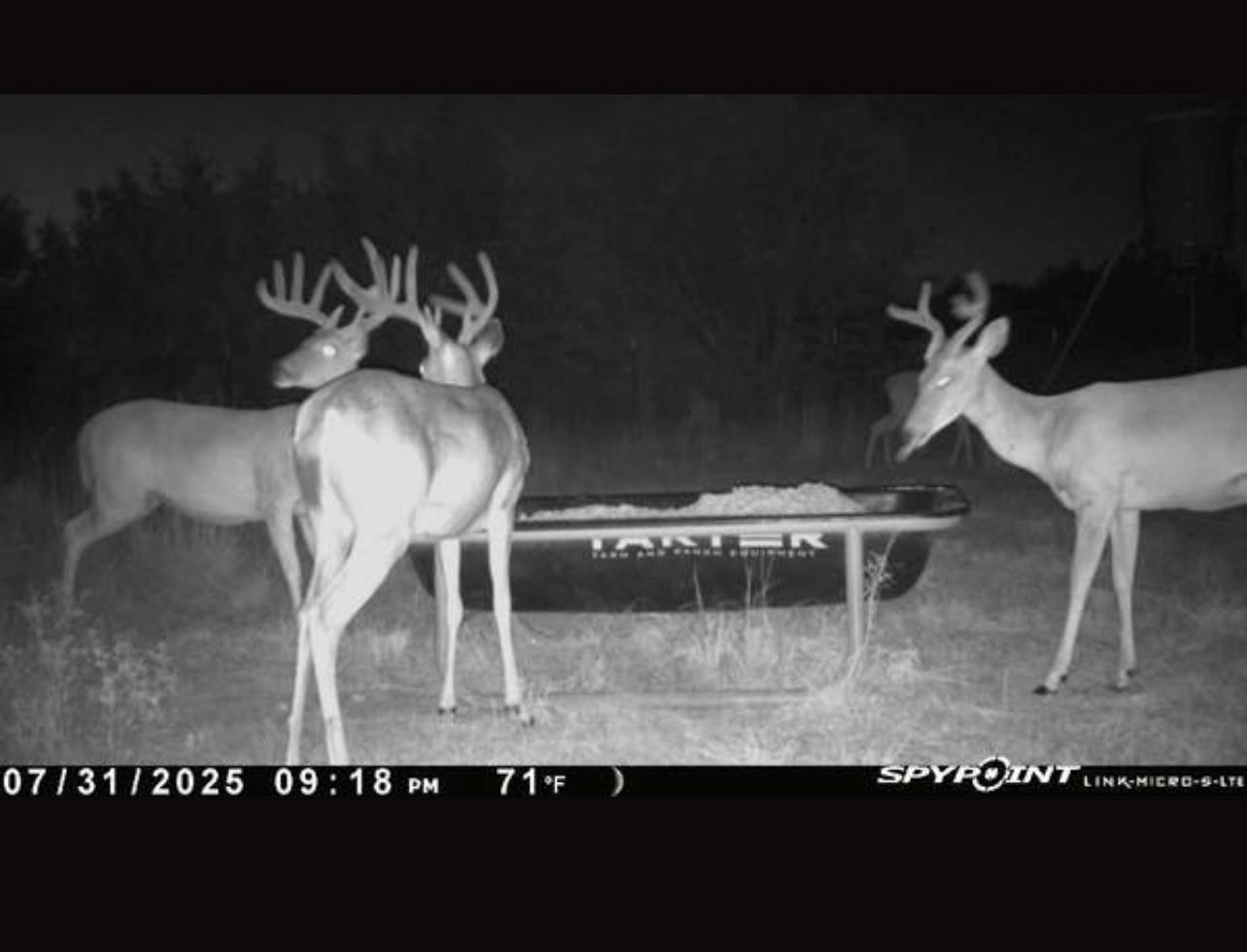 542 Co Rd 2275 Rd, Lampasas, TX 76550