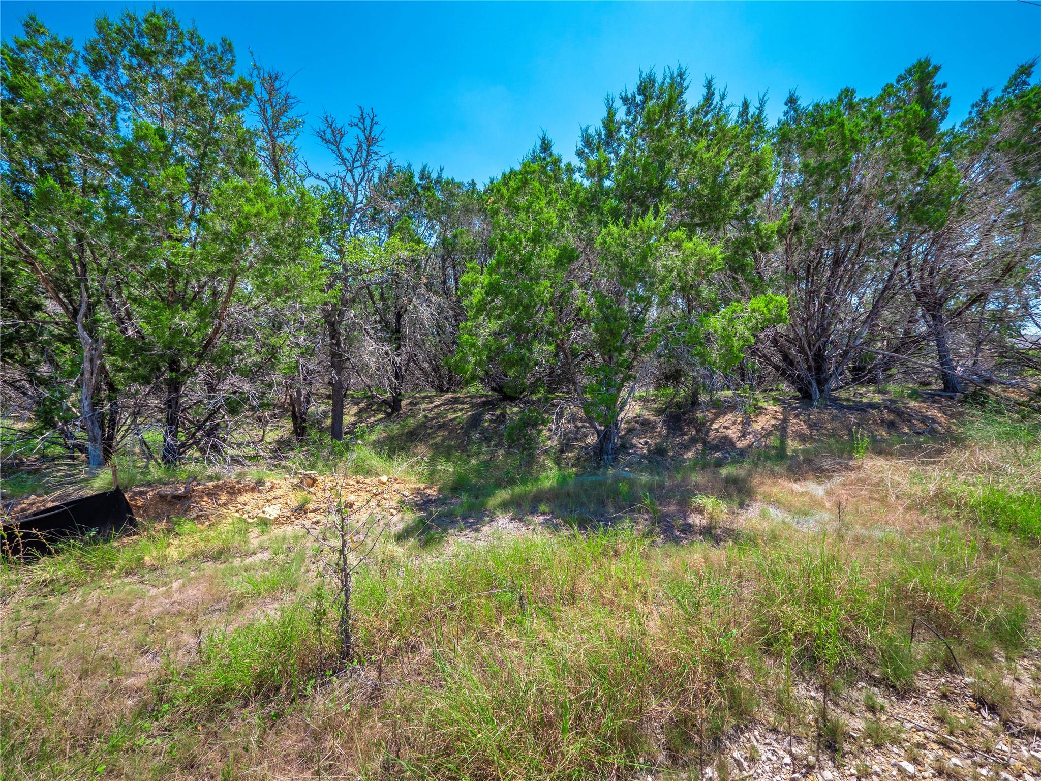 193 Garner Ranch Rd, Bertram, TX 78605