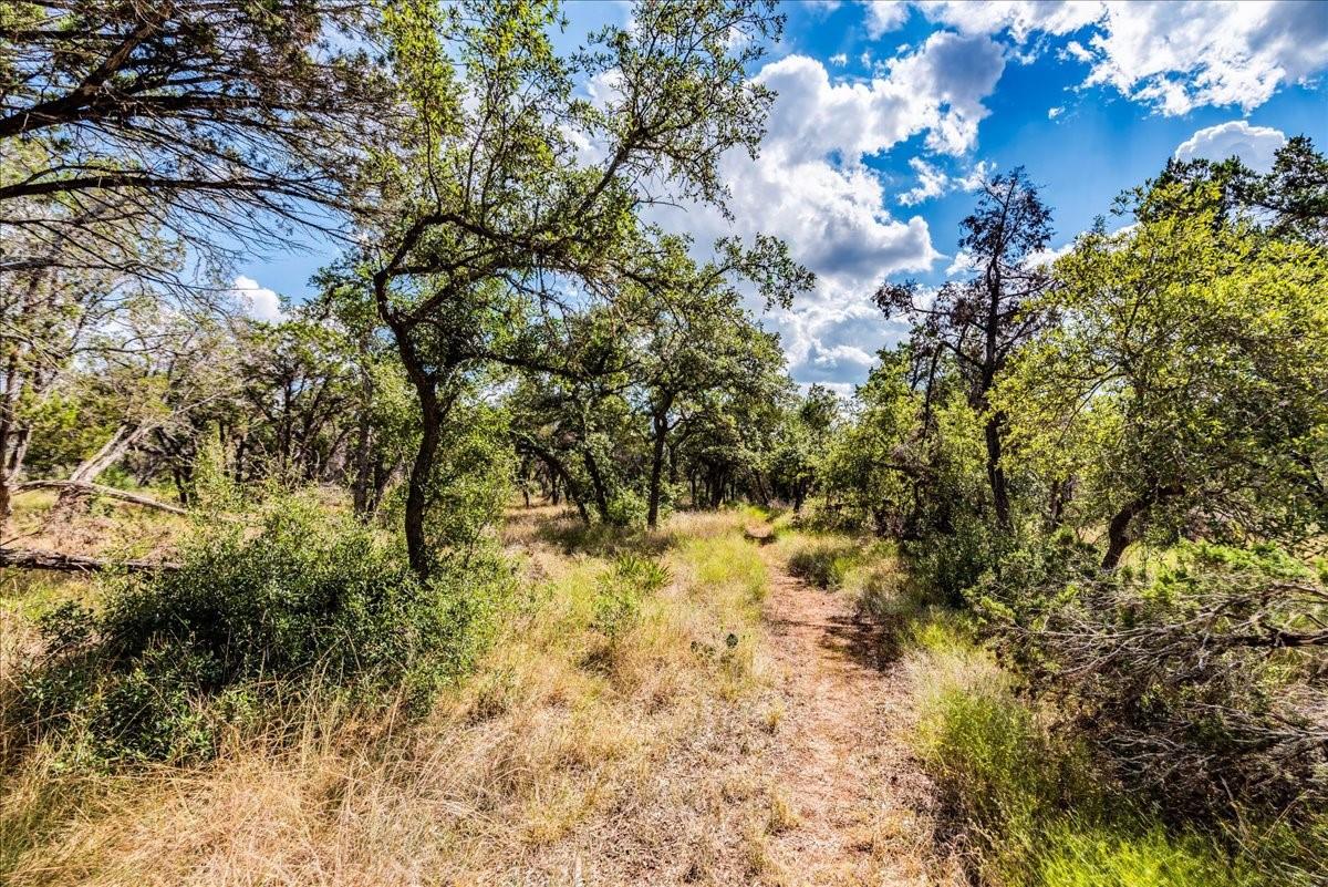 TBD Founders Park Rd, Dripping Springs, TX 78620