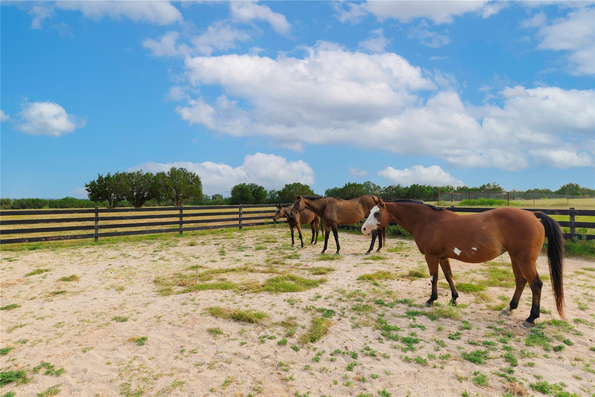 1400 County Road 320, Bertram, TX 78605