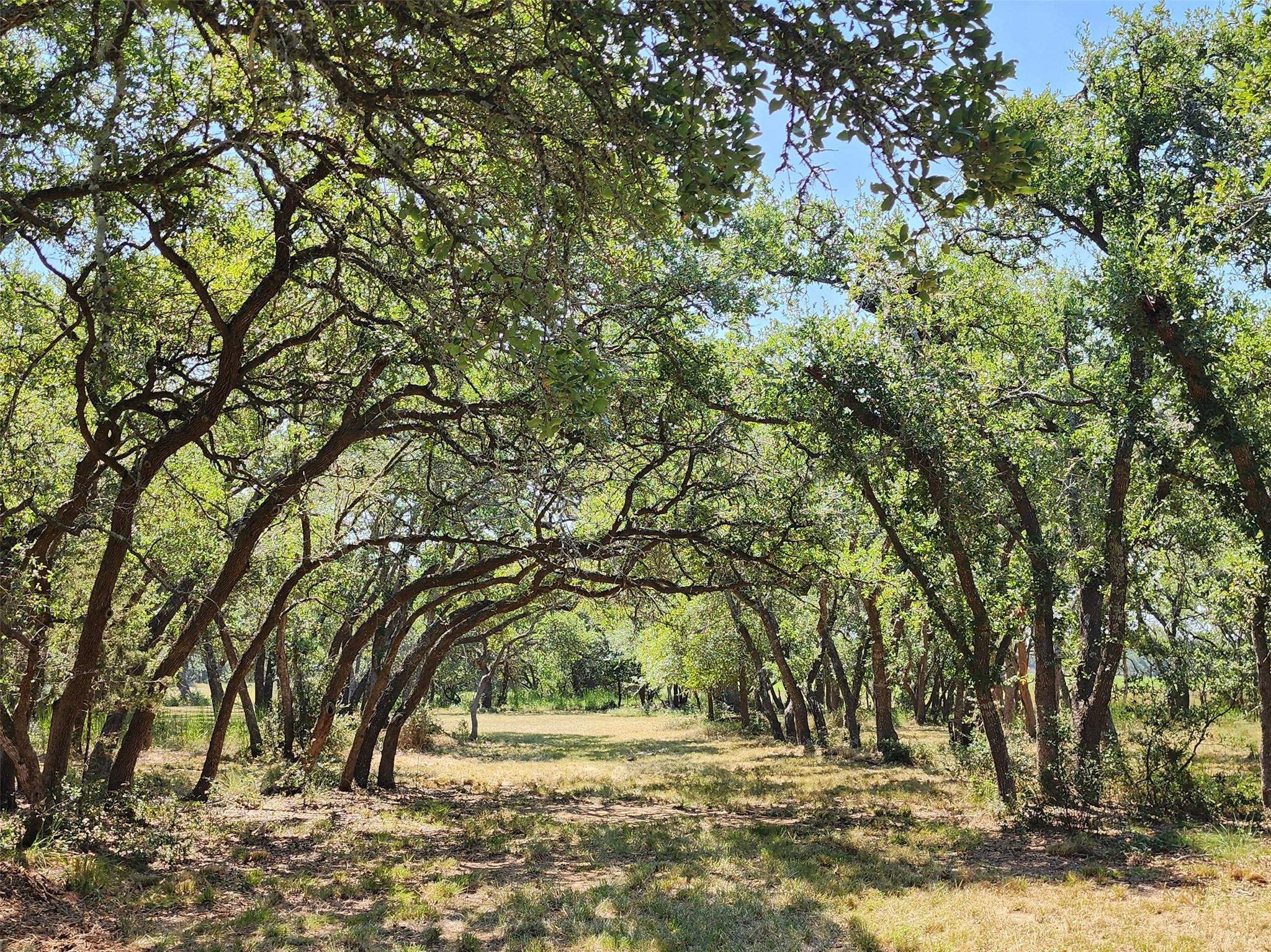 2450 E Creek Cv, Dripping Springs, TX 78620