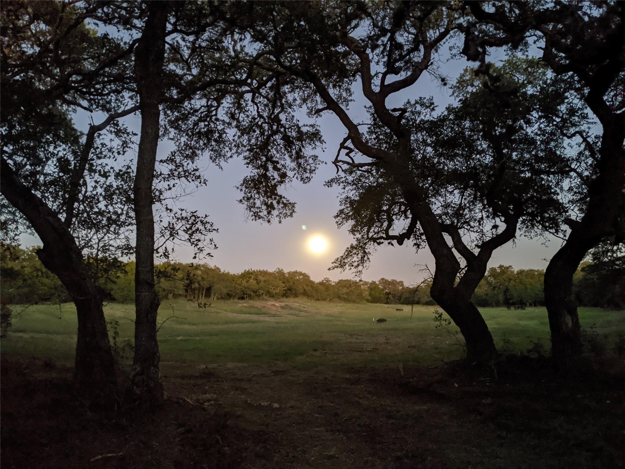 2450 E Creek Cv, Dripping Springs, TX 78620