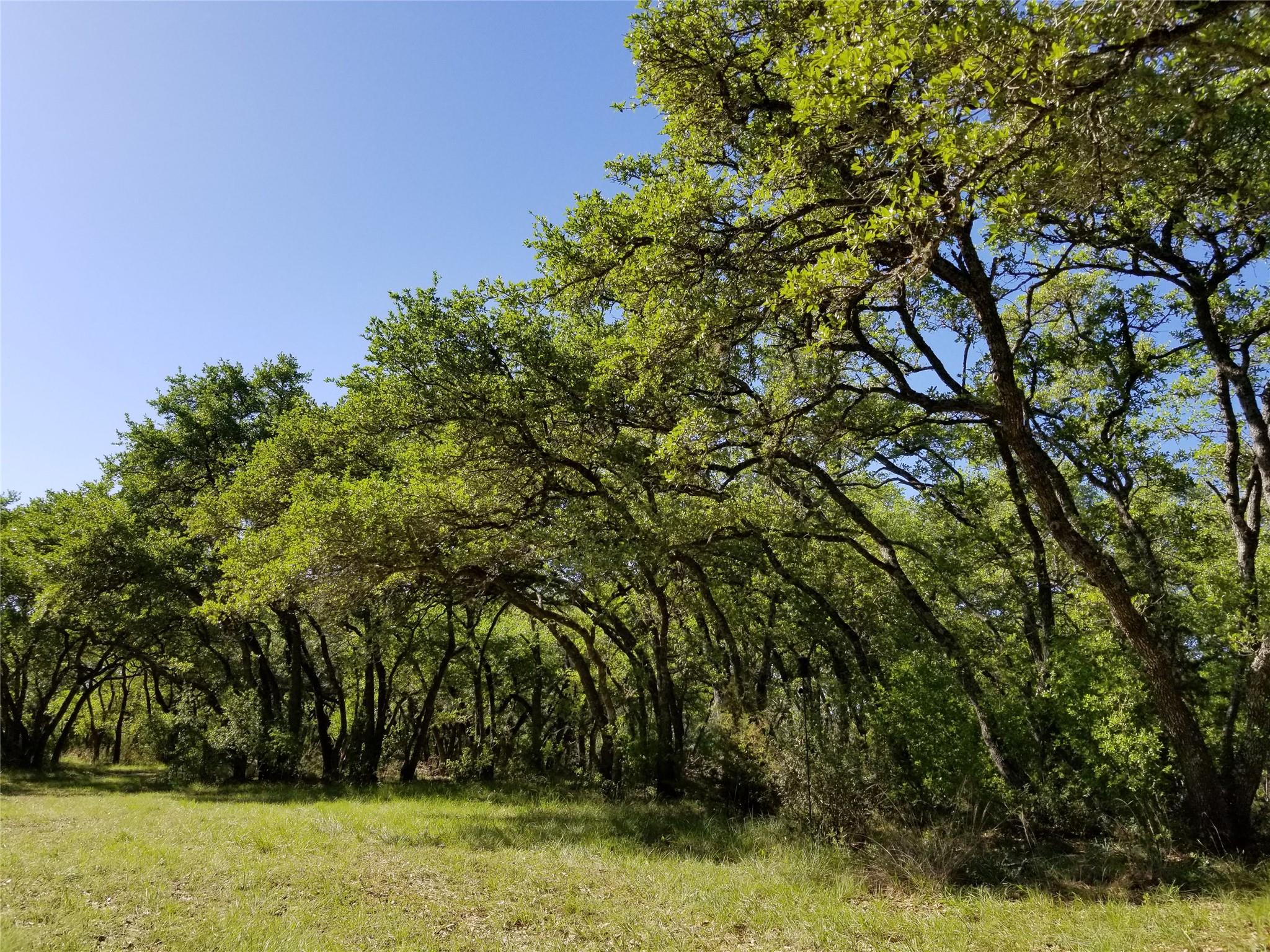 2450 E Creek Cv, Dripping Springs, TX 78620
