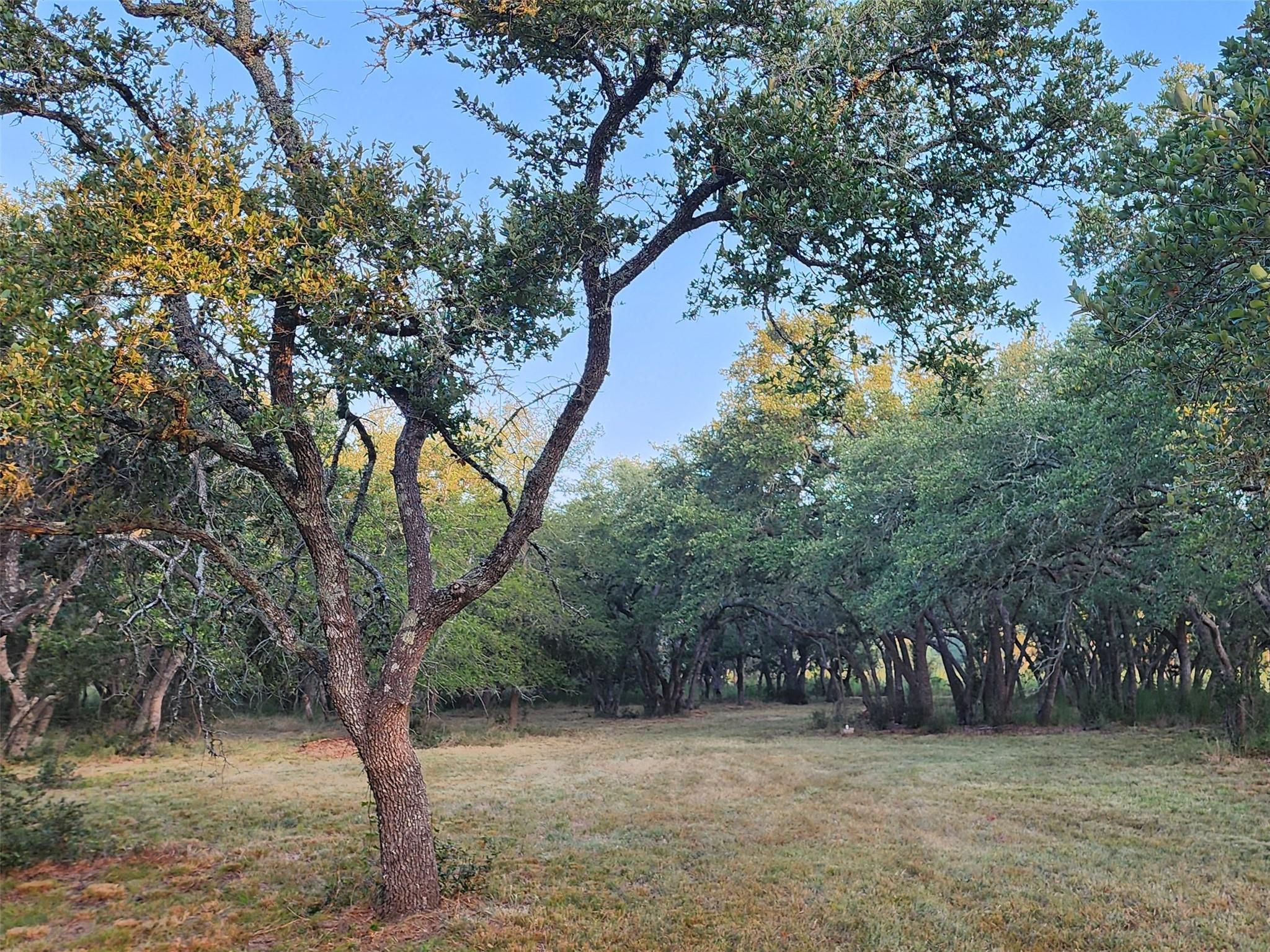 2450 E Creek Cv, Dripping Springs, TX 78620