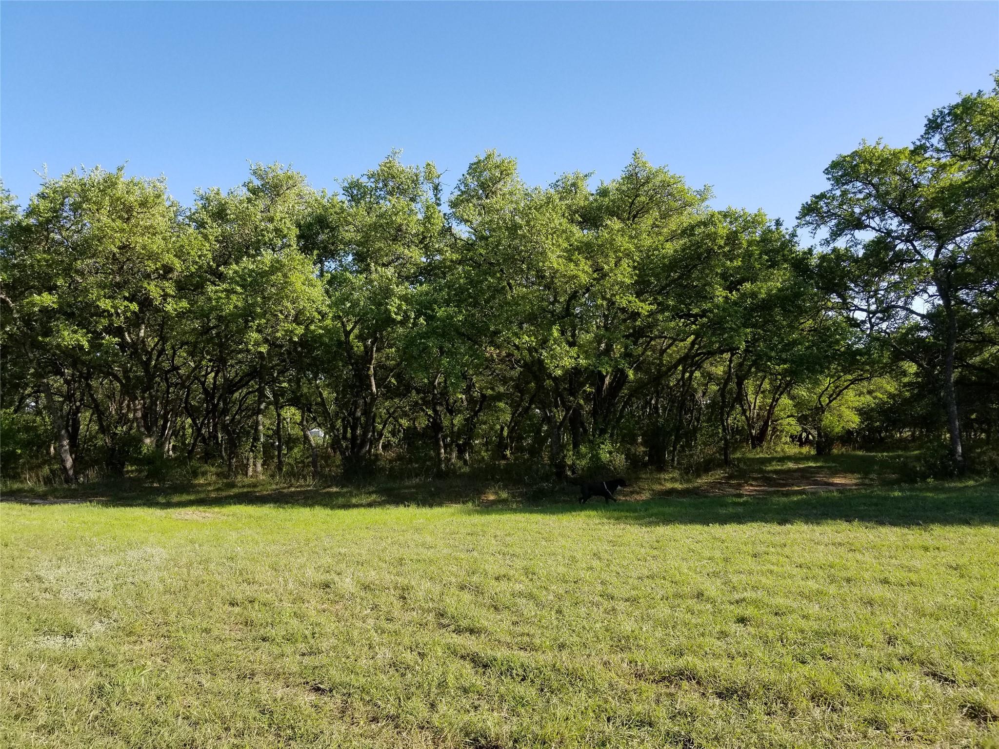 2450 E Creek Cv, Dripping Springs, TX 78620