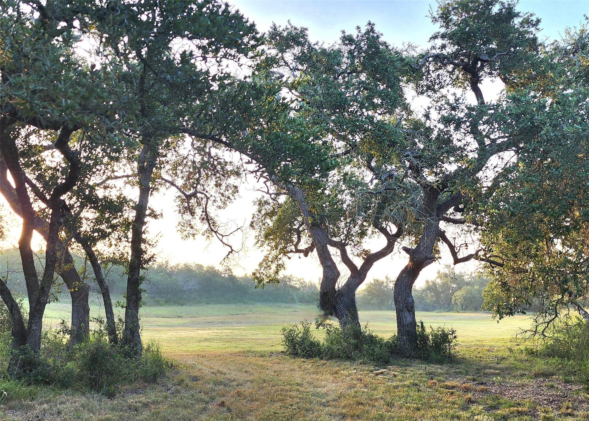 2450 E Creek Cv, Dripping Springs, TX 78620