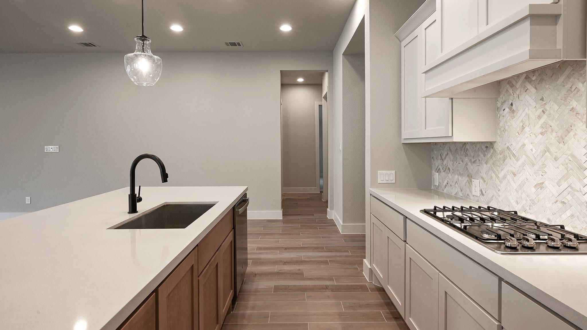 1124 Rusty Blackhaw Trl, San Marcos, TX 78666