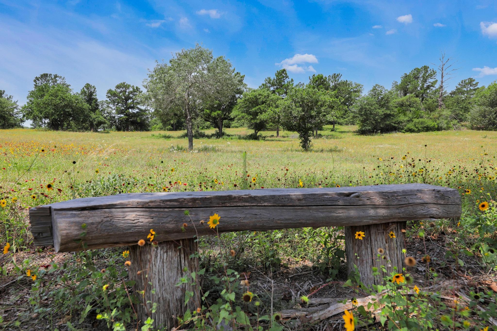 234 Sandy Rd, Rosanky, TX 78953