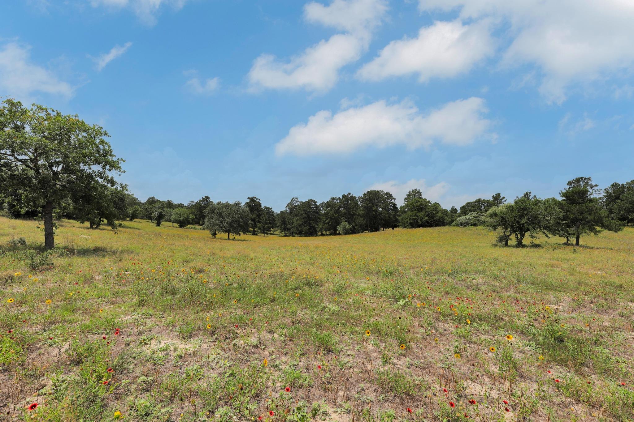 234 Sandy Rd, Rosanky, TX 78953