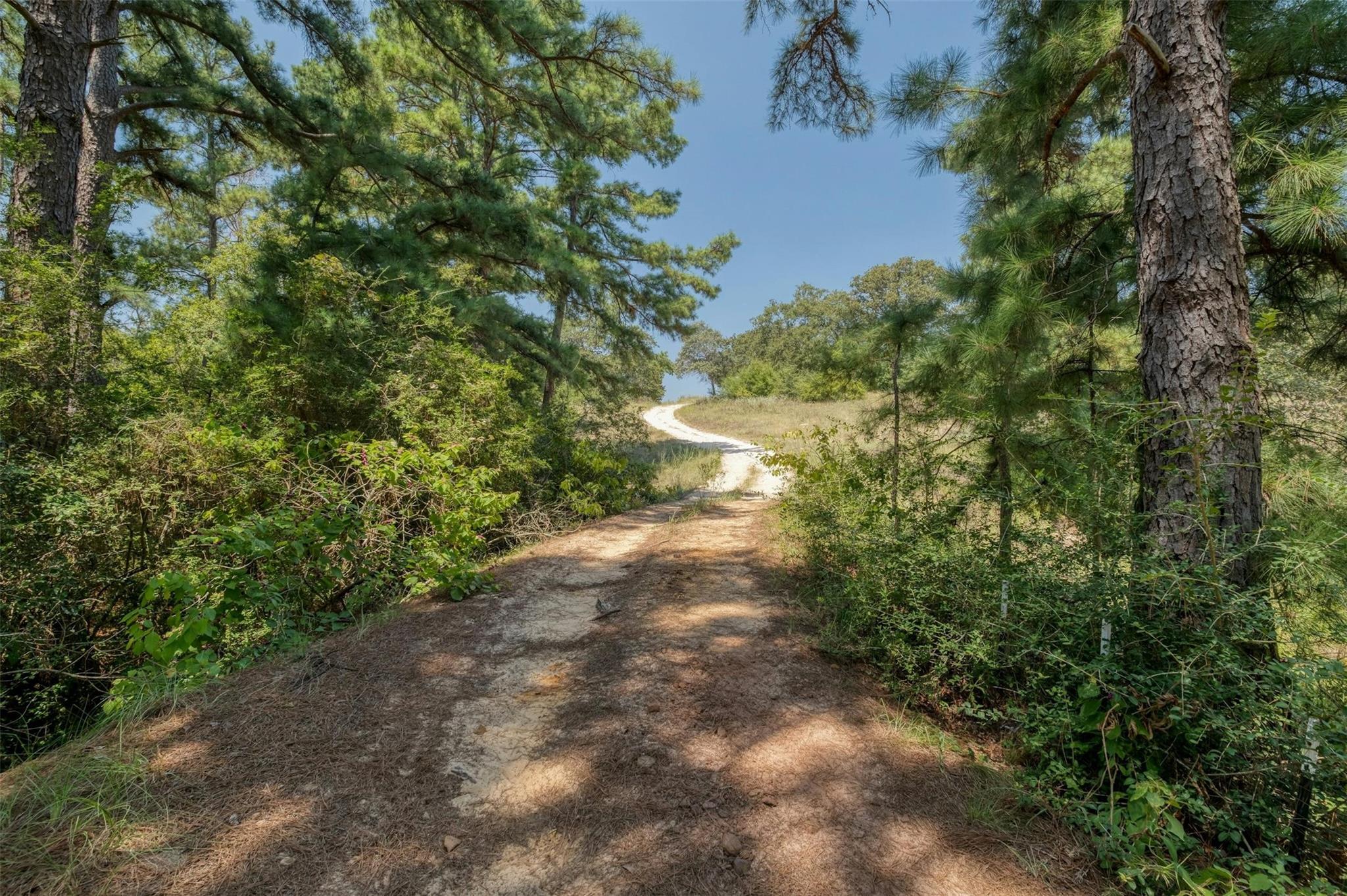 234 Sandy Rd, Rosanky, TX 78953