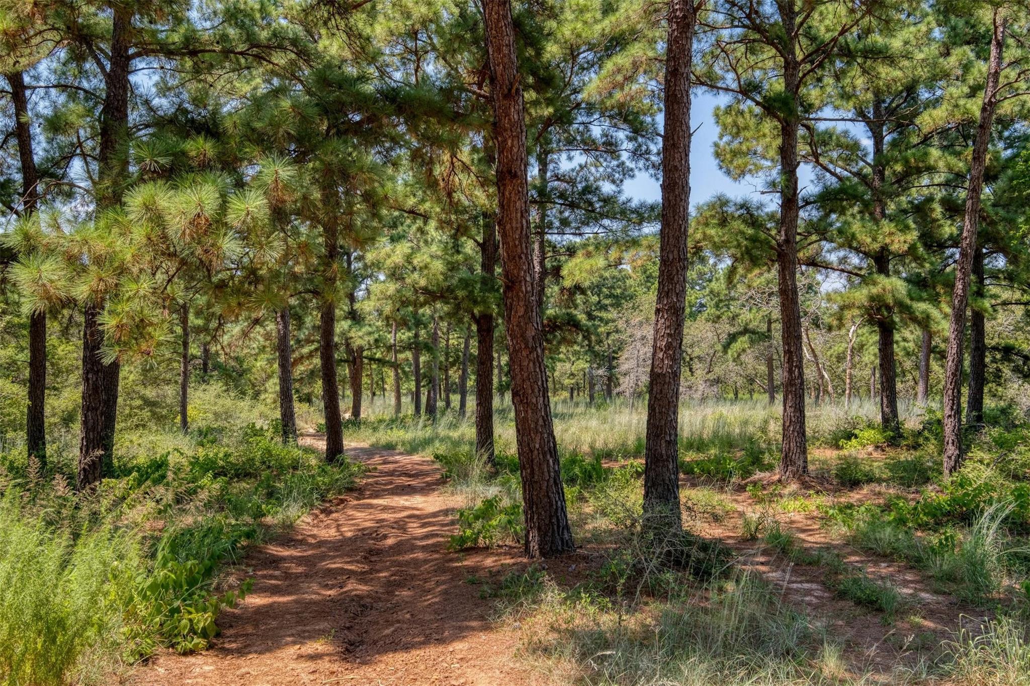234 Sandy Rd, Rosanky, TX 78953