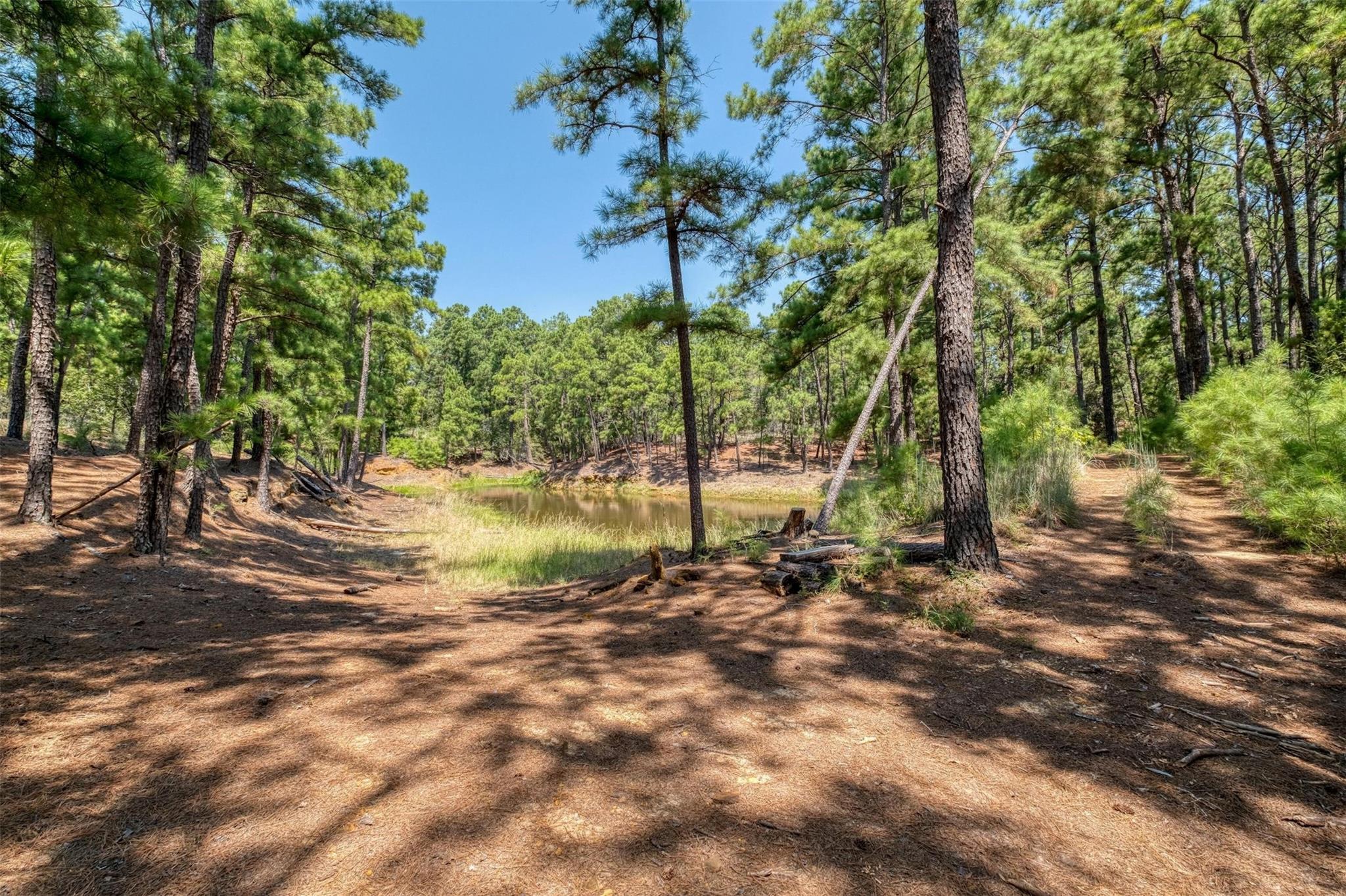 234 Sandy Rd, Rosanky, TX 78953