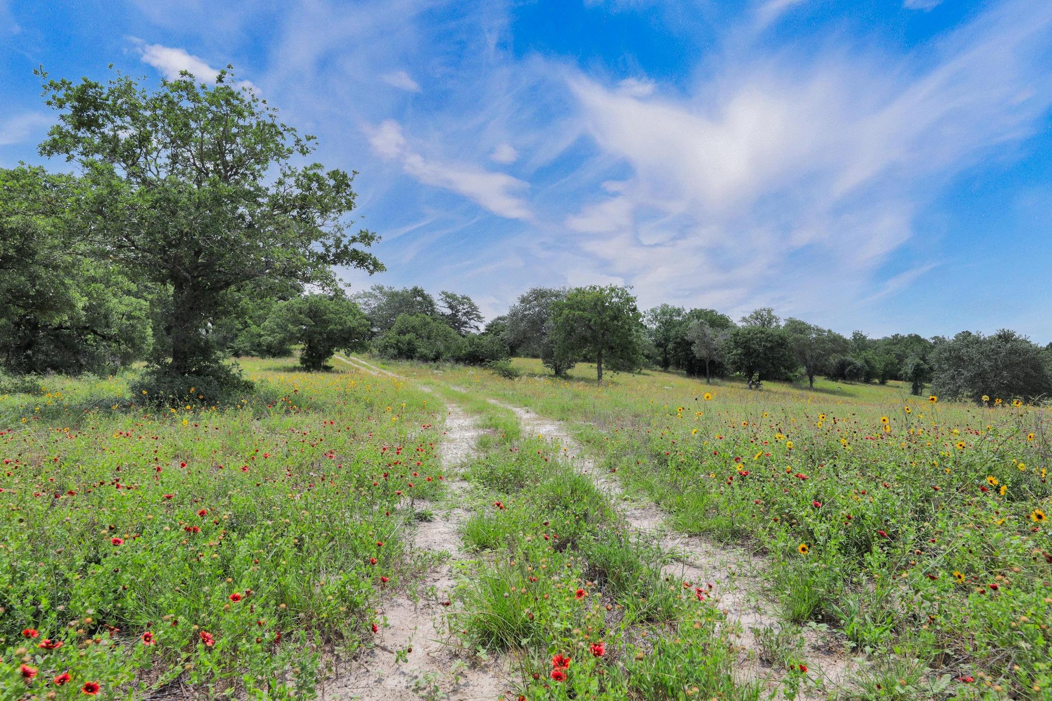 234 Sandy Rd, Rosanky, TX 78953