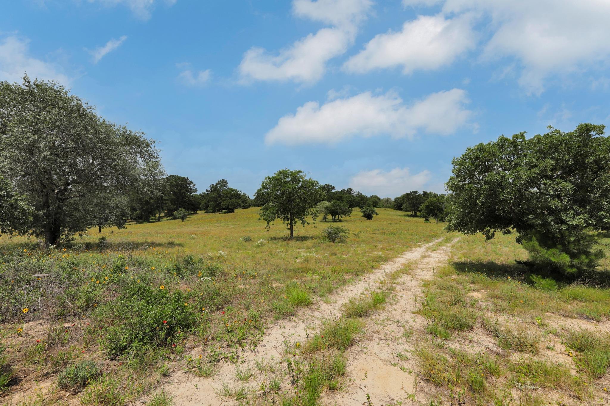 234 Sandy Rd, Rosanky, TX 78953
