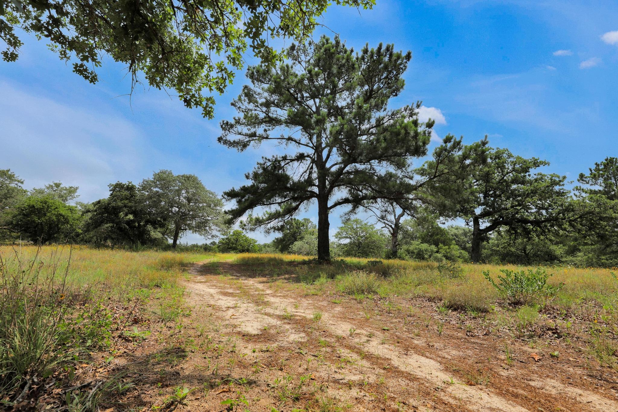 234 Sandy Rd, Rosanky, TX 78953