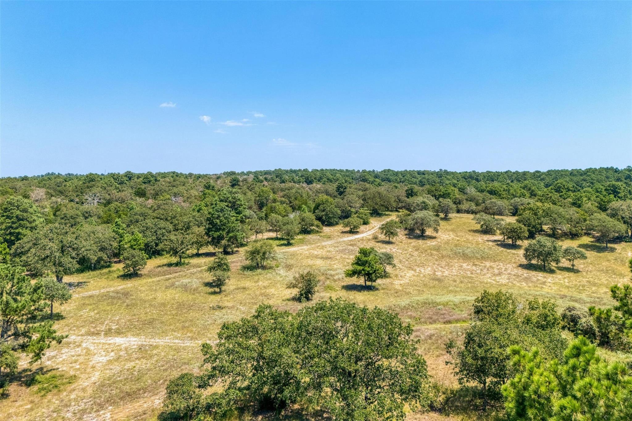 234 Sandy Rd, Rosanky, TX 78953