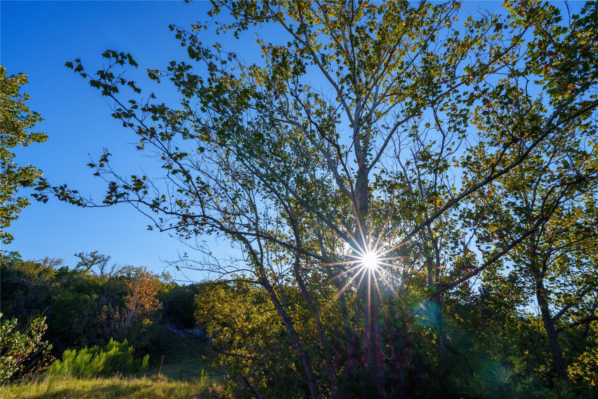 582 Delaware Creek Road, Blanco, TX 78606