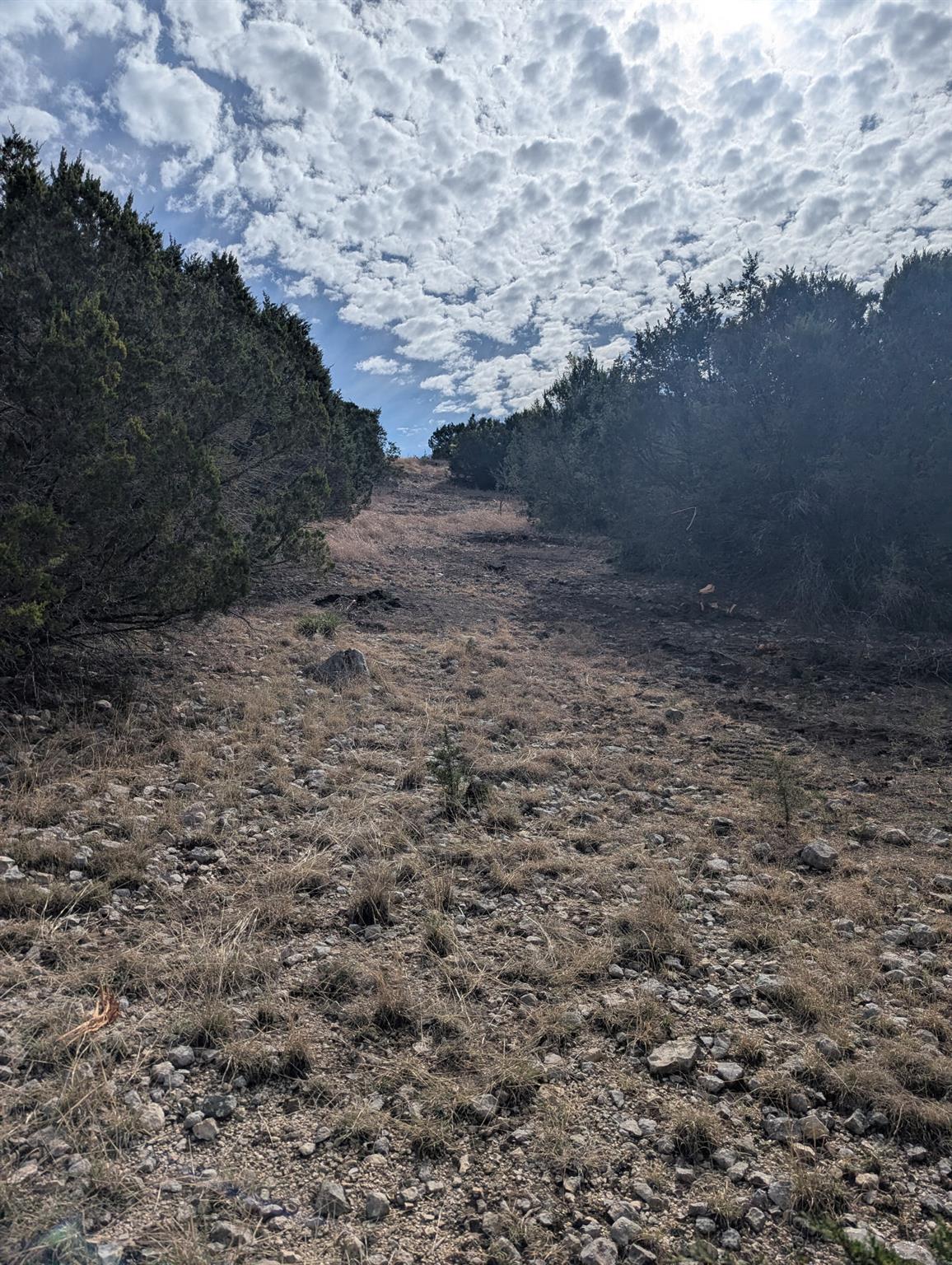 4238 E. FM 581, Lometa, TX 76853